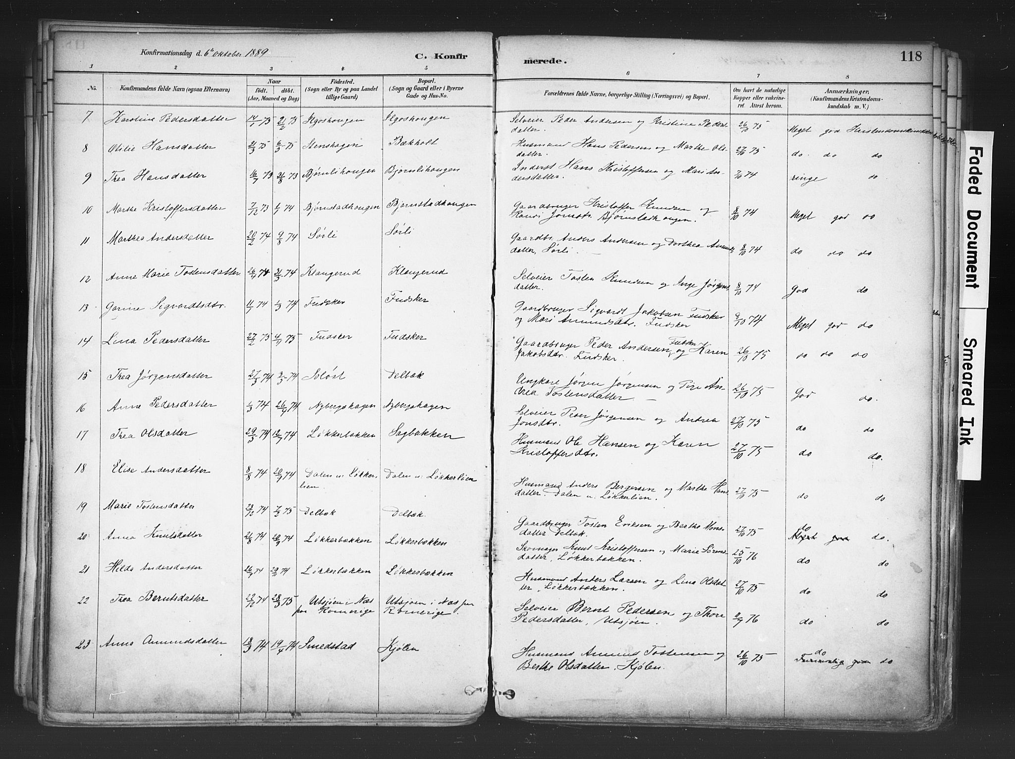 Nord-Odal prestekontor, AV/SAH-PREST-032/H/Ha/Haa/L0006: Parish register (official) no. 6, 1886-1901, p. 118