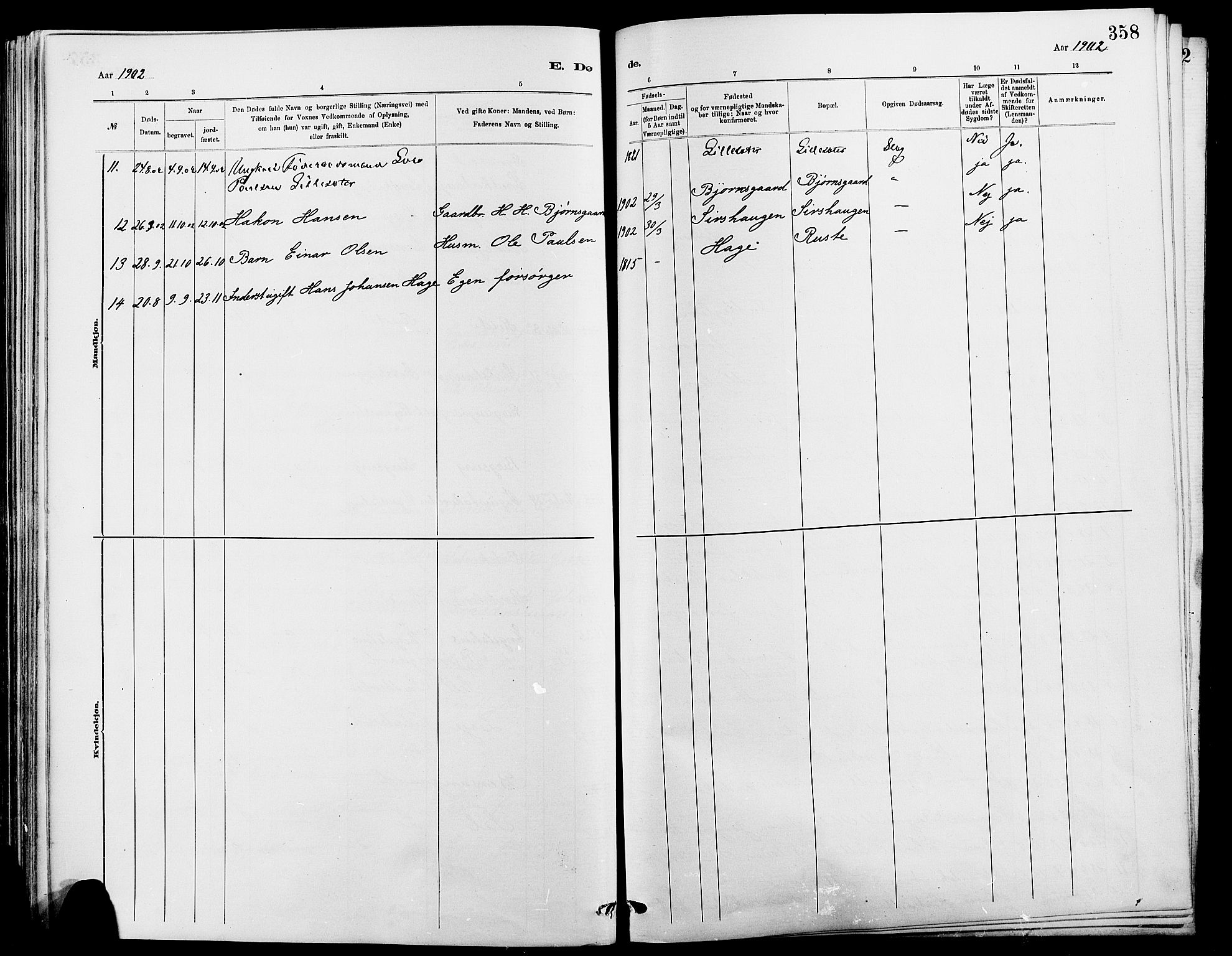 Dovre prestekontor, SAH/PREST-066/H/Ha/Hab/L0002: Parish register (copy) no. 2, 1881-1907, p. 358