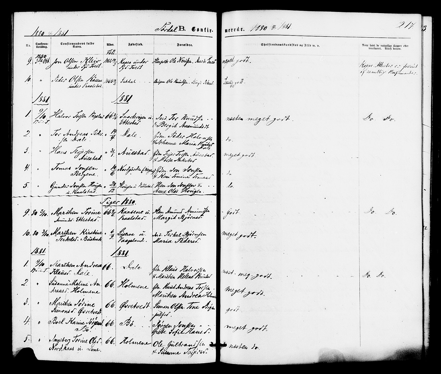 Drangedal kirkebøker, SAKO/A-258/F/Fa/L0009: Parish register (official) no. 9 /2, 1872-1884, p. 217