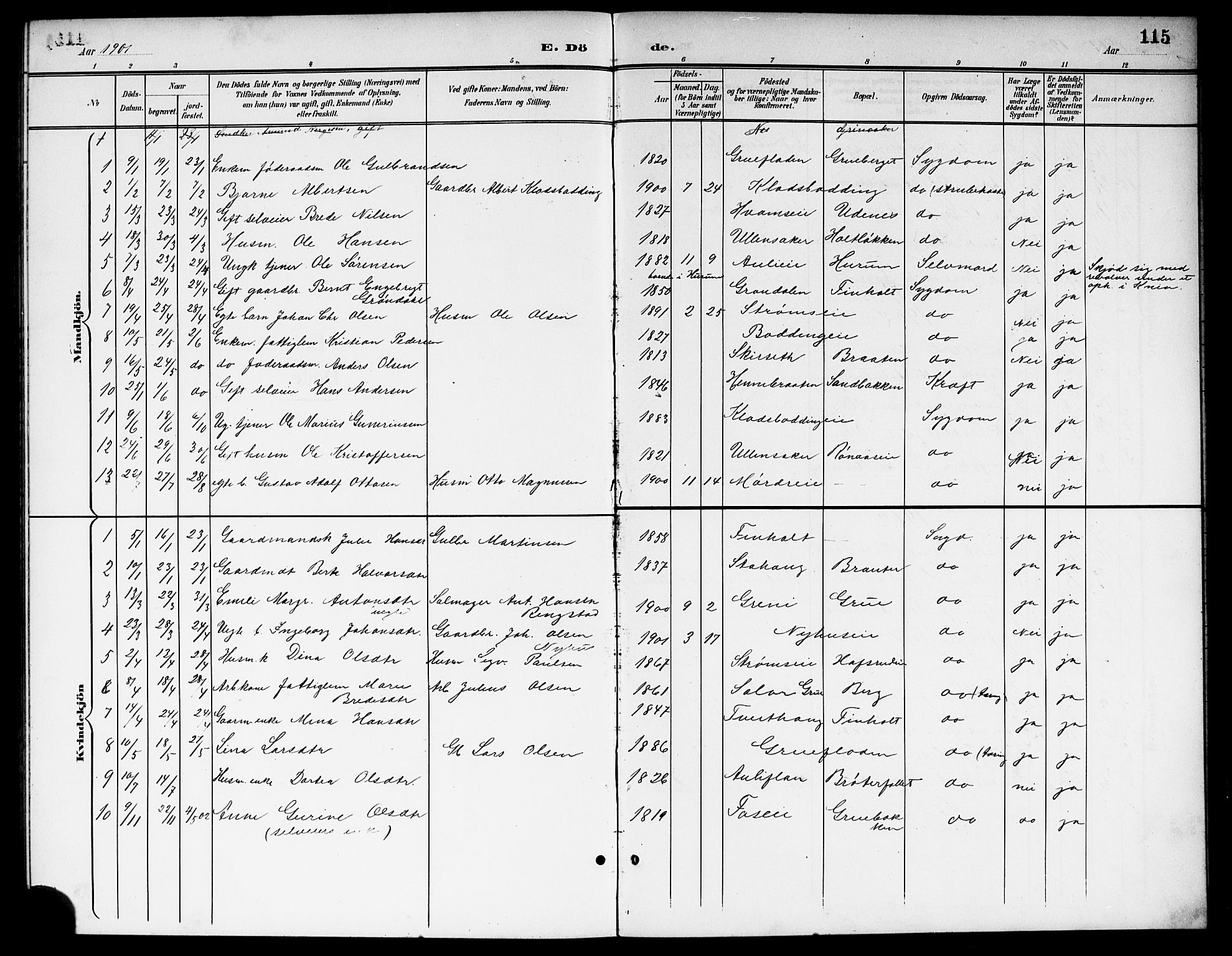 Nes prestekontor Kirkebøker, AV/SAO-A-10410/G/Gb/L0001: Parish register (copy) no. II 1, 1901-1917, p. 115