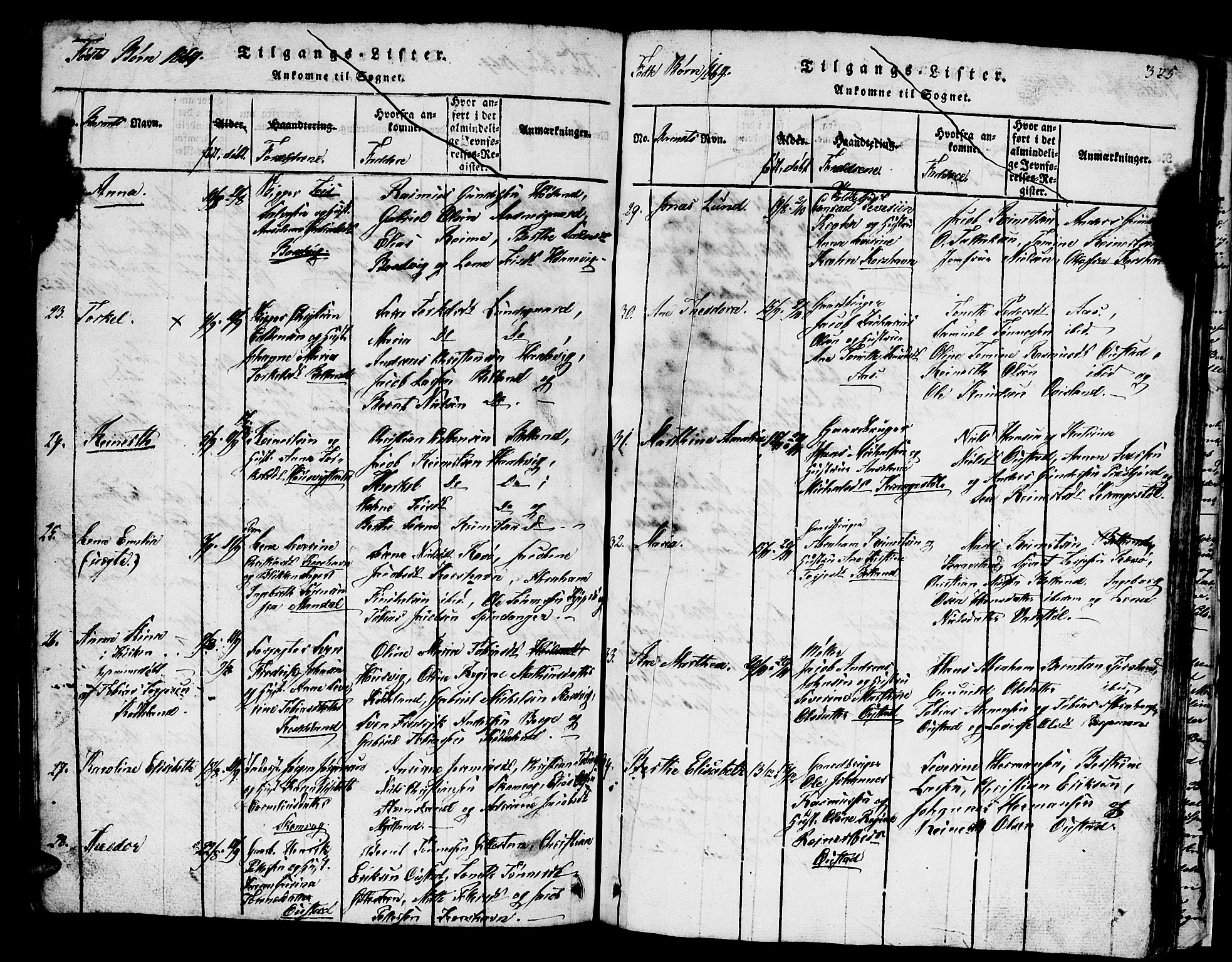 Lyngdal sokneprestkontor, AV/SAK-1111-0029/F/Fb/Fba/L0001: Parish register (copy) no. B 1, 1816-1876, p. 325