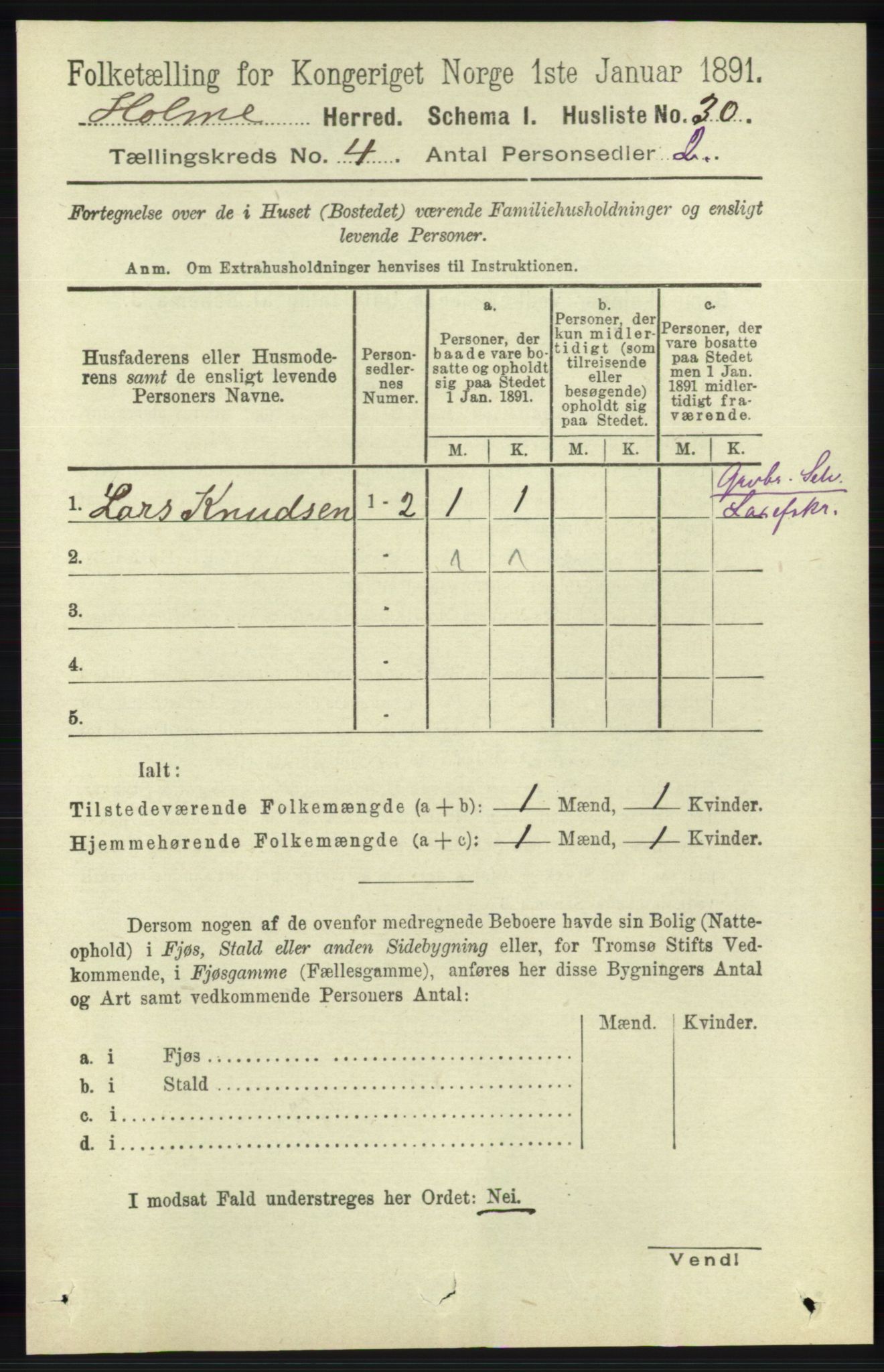 RA, 1891 census for 1020 Holum, 1891, p. 1030