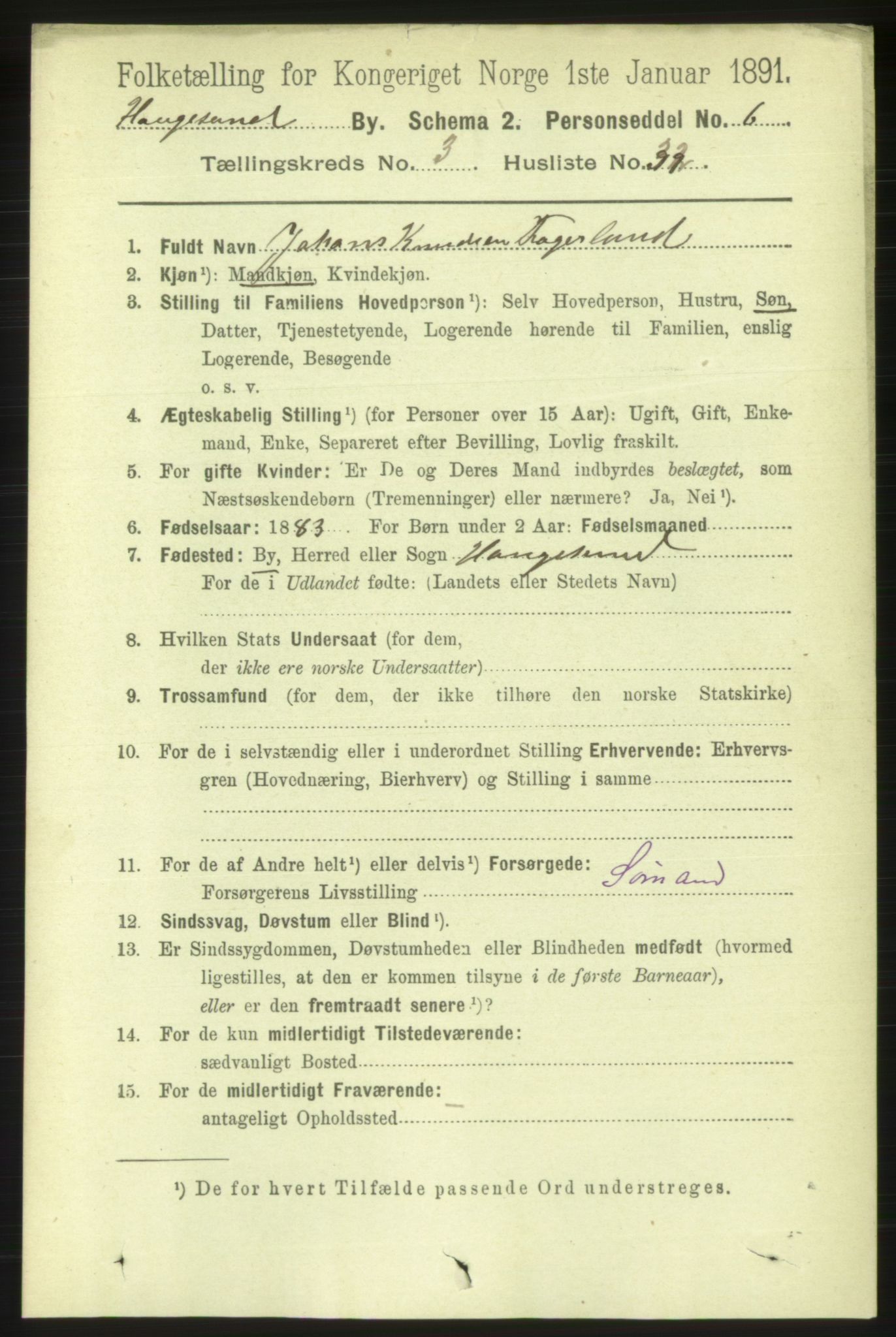 RA, 1891 census for 1106 Haugesund, 1891, p. 1147