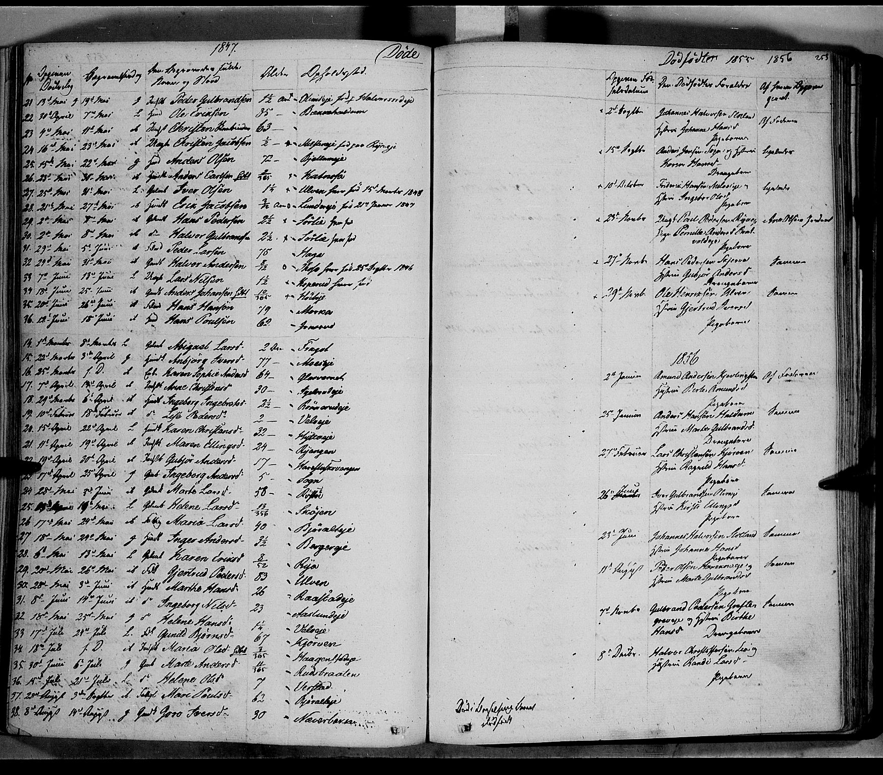 Jevnaker prestekontor, AV/SAH-PREST-116/H/Ha/Haa/L0006: Parish register (official) no. 6, 1837-1857, p. 253