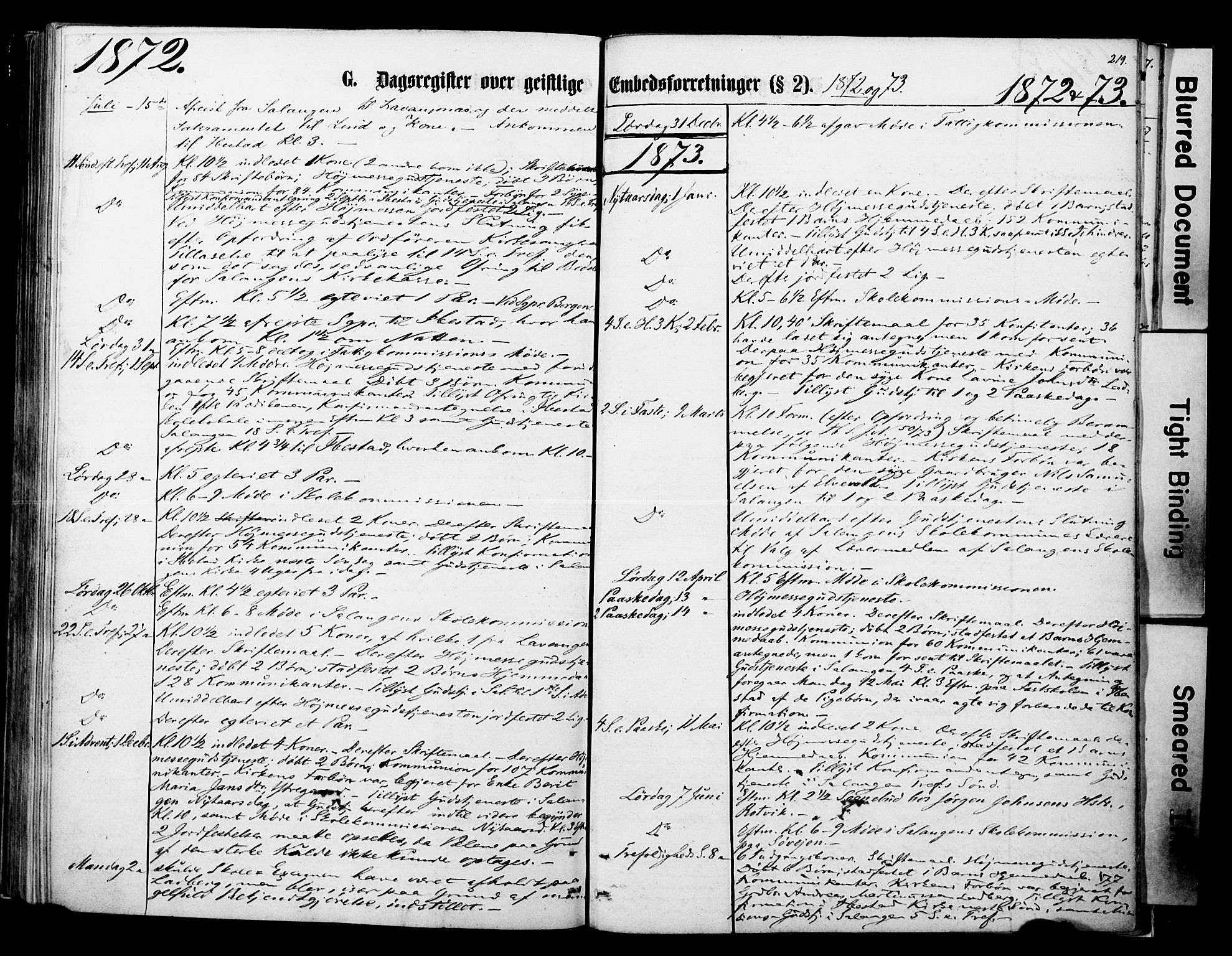 Ibestad sokneprestembete, SATØ/S-0077/H/Ha/Haa/L0013kirke: Parish register (official) no. 13, 1865-1879, p. 219