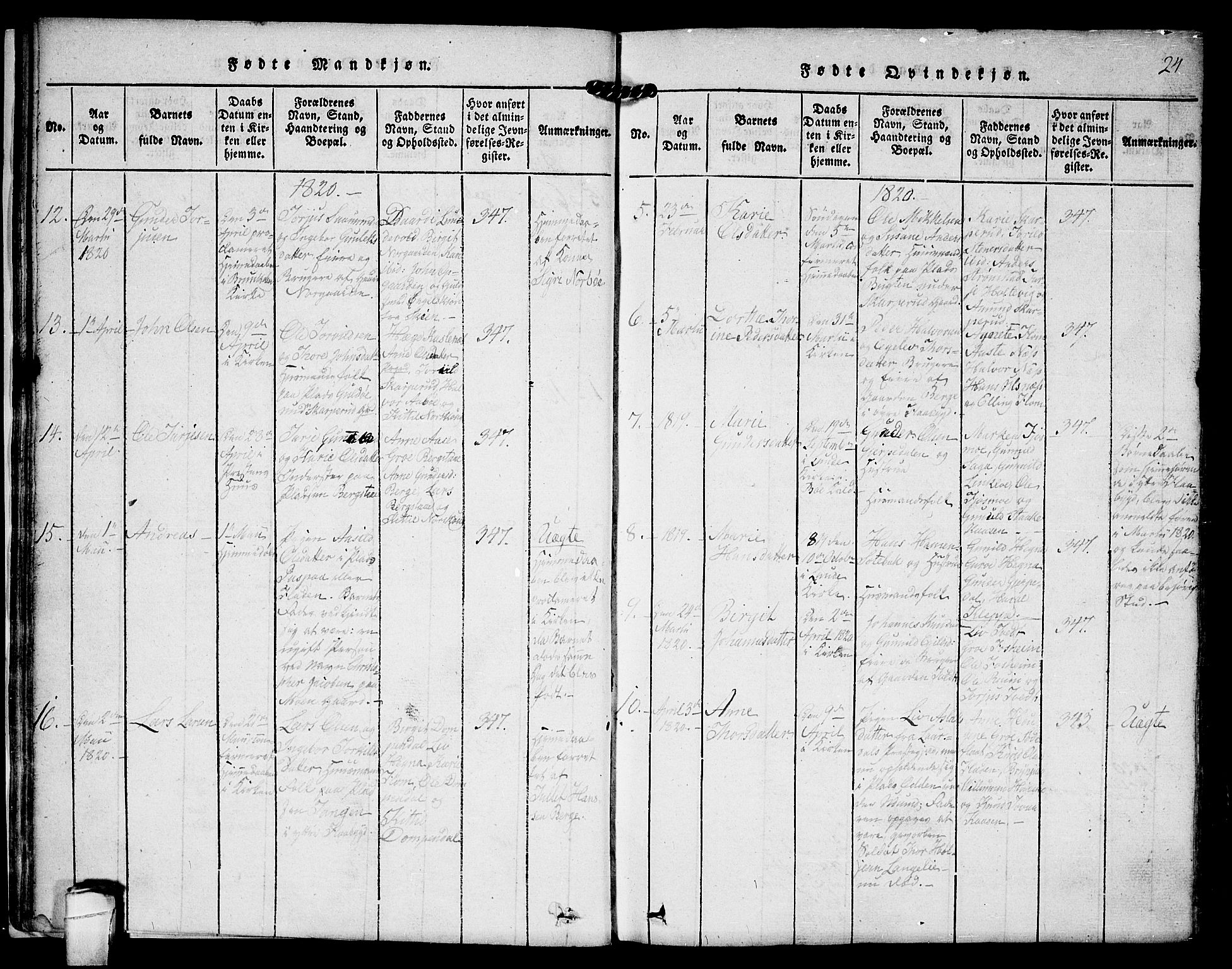 Kviteseid kirkebøker, SAKO/A-276/F/Fa/L0005: Parish register (official) no. I 5, 1815-1836, p. 24