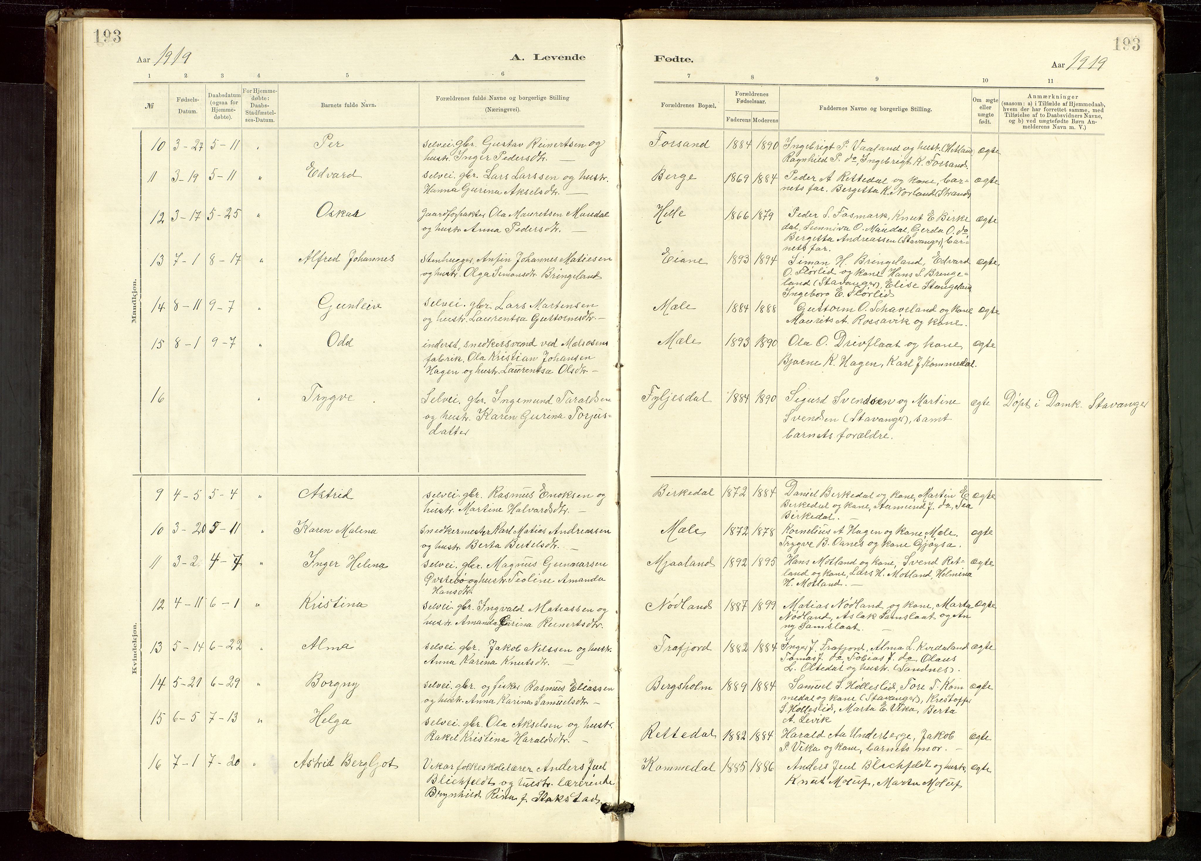 Høgsfjord sokneprestkontor, SAST/A-101624/H/Ha/Hab/L0009: Parish register (copy) no. B 9, 1883-1920, p. 193