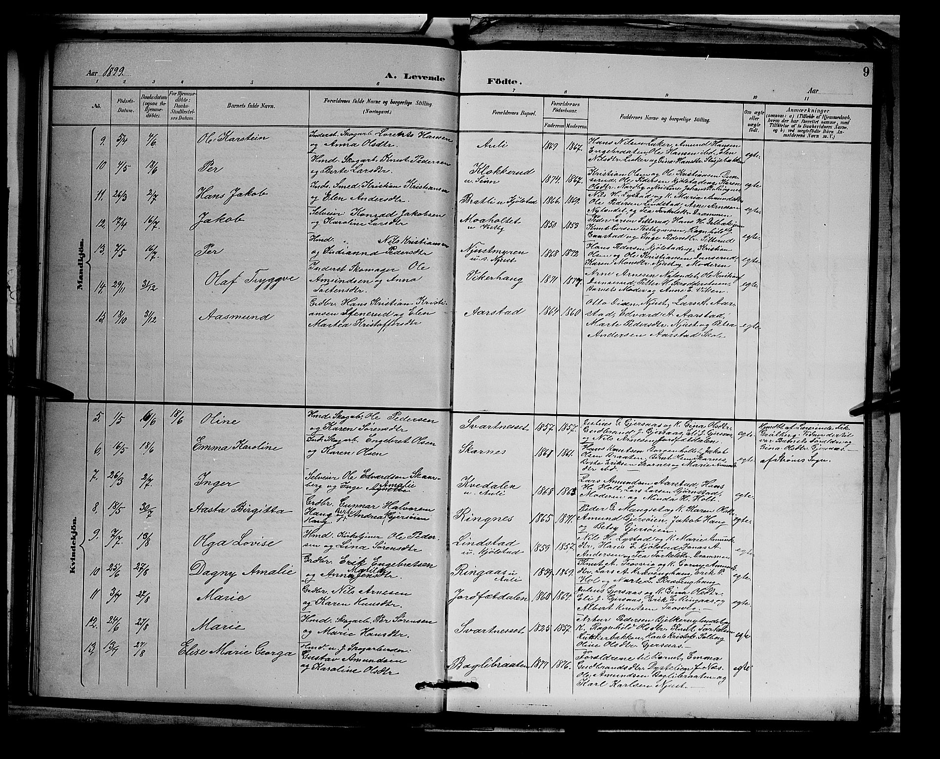 Sør-Odal prestekontor, AV/SAH-PREST-030/H/Ha/Hab/L0003: Parish register (copy) no. 3, 1895-1906, p. 9