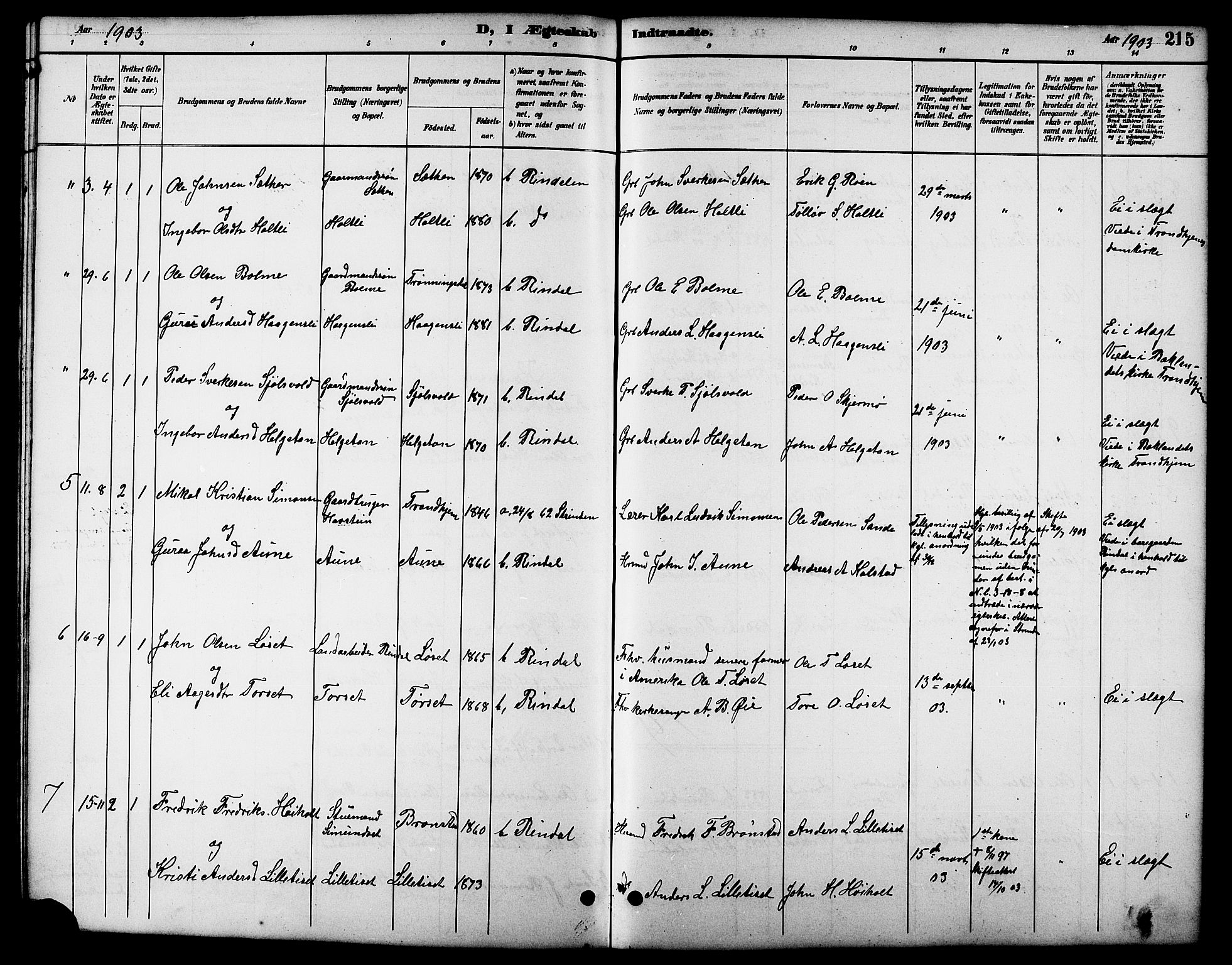 Ministerialprotokoller, klokkerbøker og fødselsregistre - Møre og Romsdal, AV/SAT-A-1454/598/L1078: Parish register (copy) no. 598C03, 1892-1909, p. 215