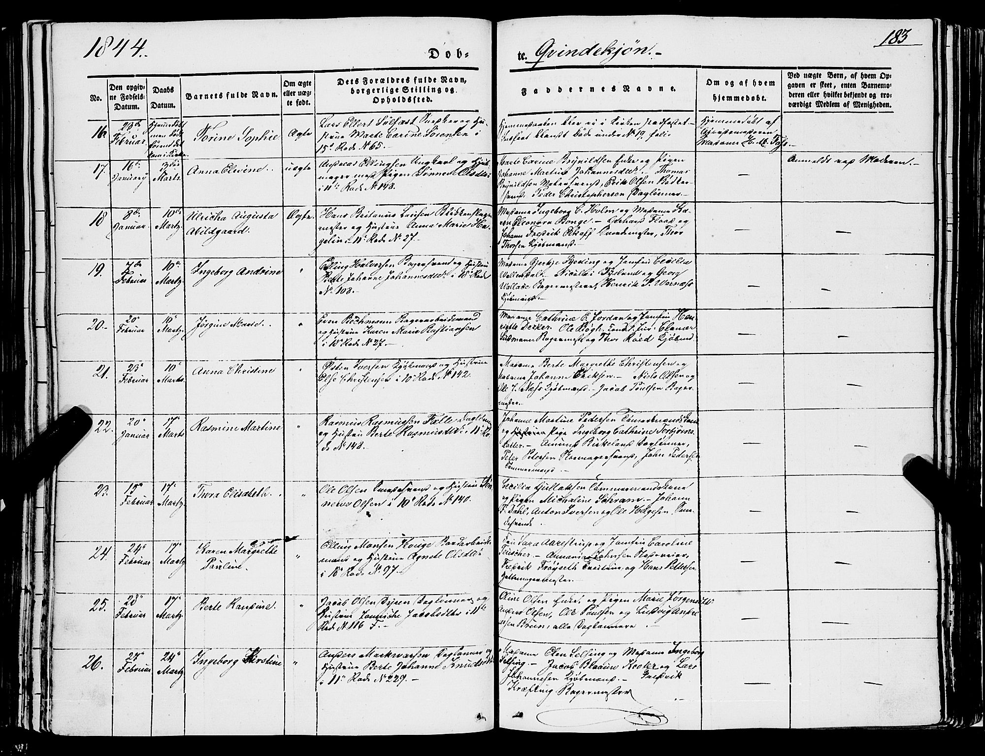 Domkirken sokneprestembete, AV/SAB-A-74801/H/Haa/L0019: Parish register (official) no. B 2, 1841-1851, p. 183