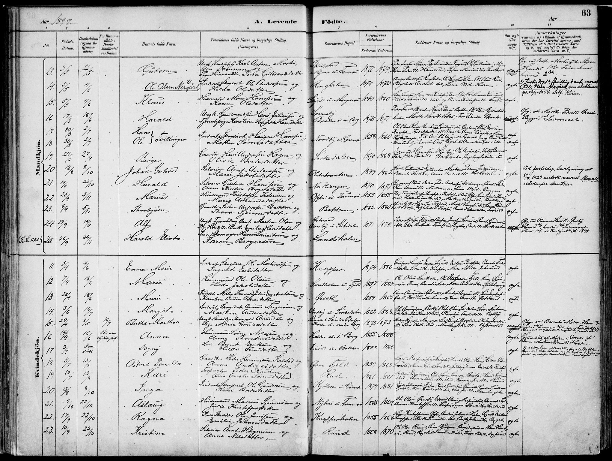 Nord-Odal prestekontor, AV/SAH-PREST-032/H/Ha/Haa/L0008: Parish register (official) no. 8, 1886-1901, p. 63