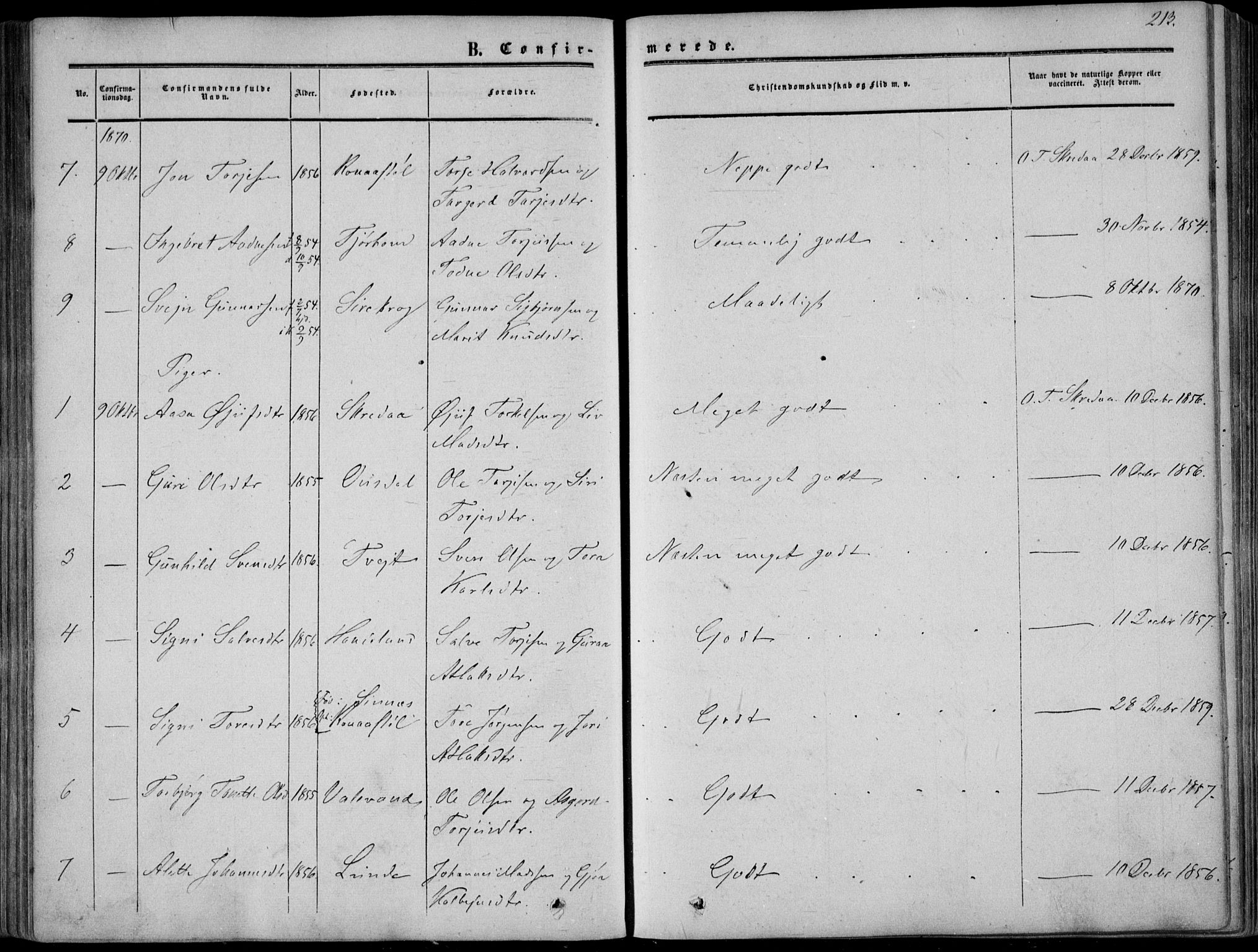 Sirdal sokneprestkontor, SAK/1111-0036/F/Fa/Fab/L0002: Parish register (official) no. A 2, 1855-1874, p. 213
