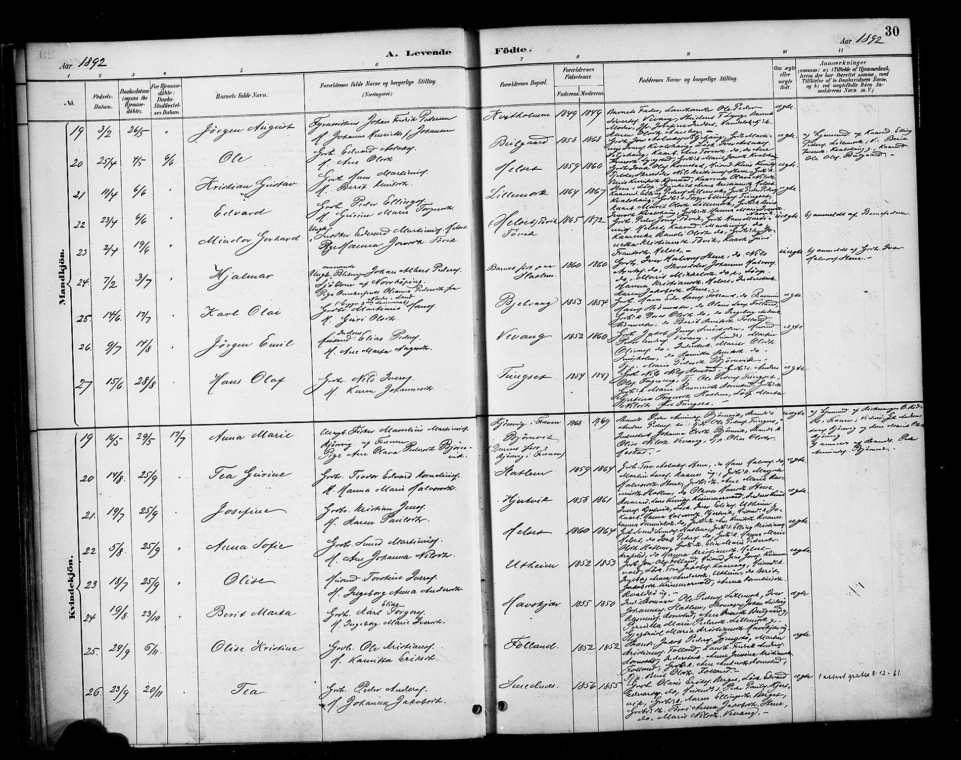 Ministerialprotokoller, klokkerbøker og fødselsregistre - Møre og Romsdal, AV/SAT-A-1454/570/L0832: Parish register (official) no. 570A06, 1885-1900, p. 30