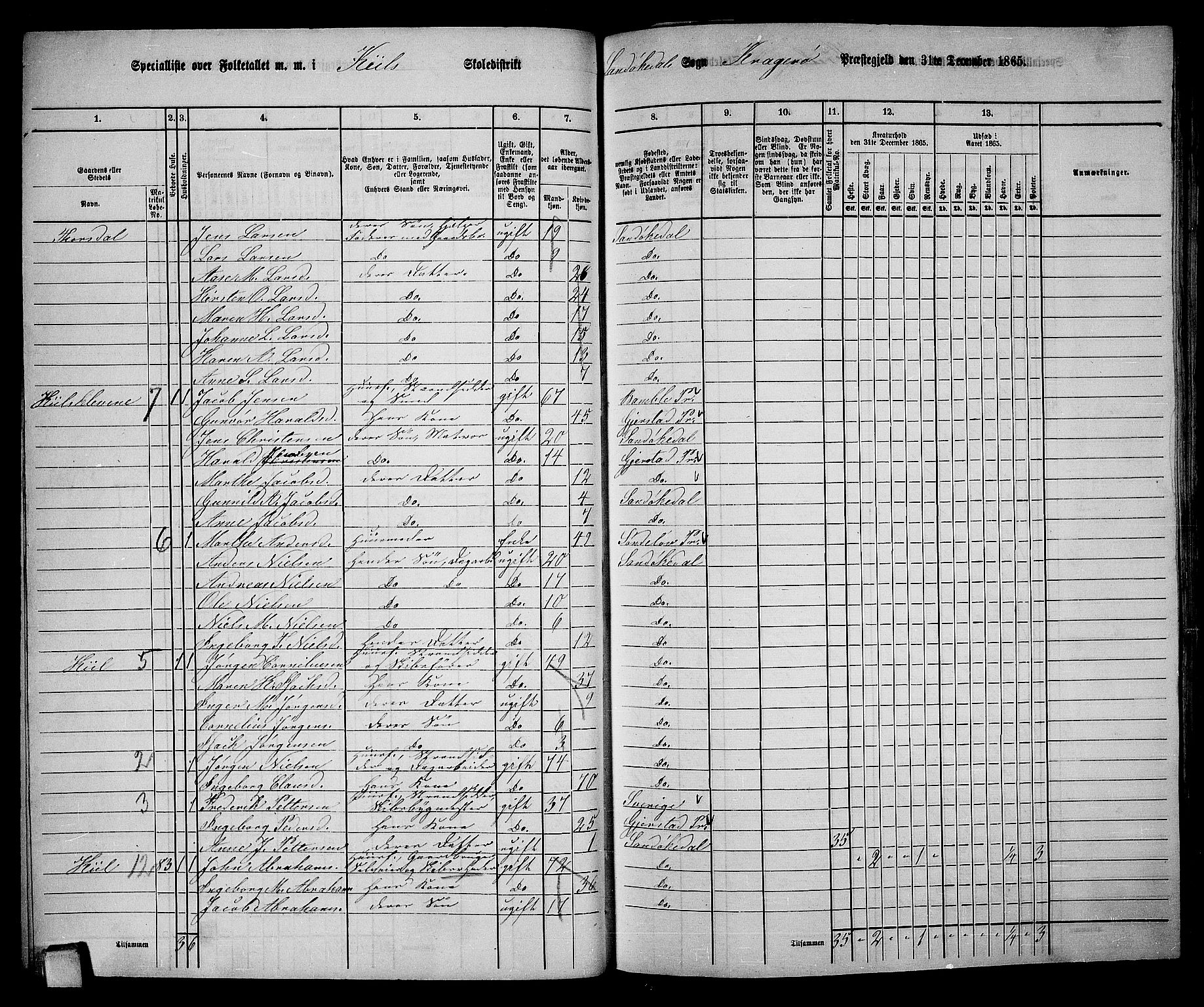 RA, 1865 census for Kragerø/Sannidal og Skåtøy, 1865, p. 46