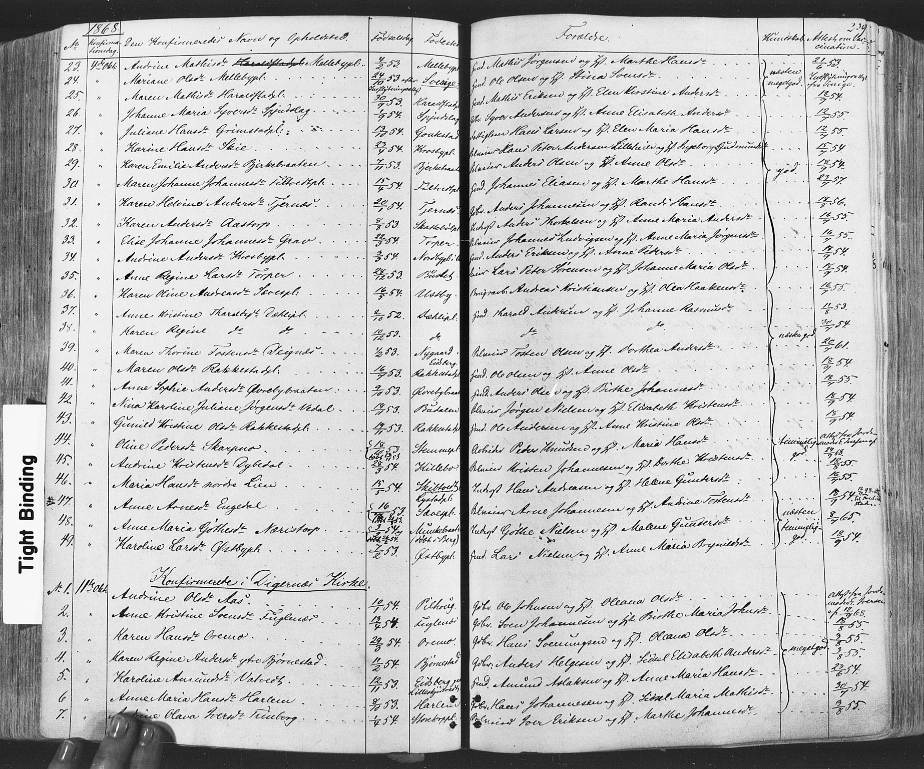Rakkestad prestekontor Kirkebøker, SAO/A-2008/F/Fa/L0011: Parish register (official) no. I 11, 1862-1877, p. 239