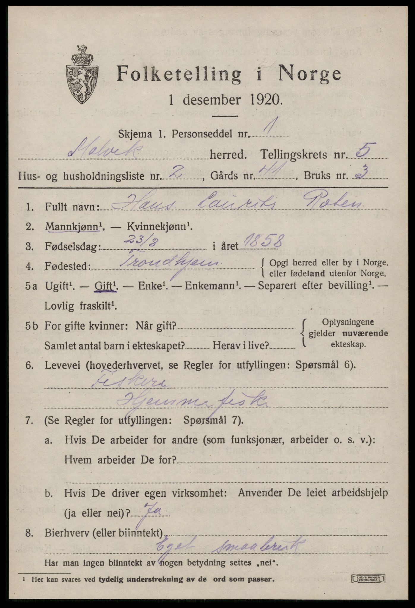 SAT, 1920 census for Malvik, 1920, p. 3196