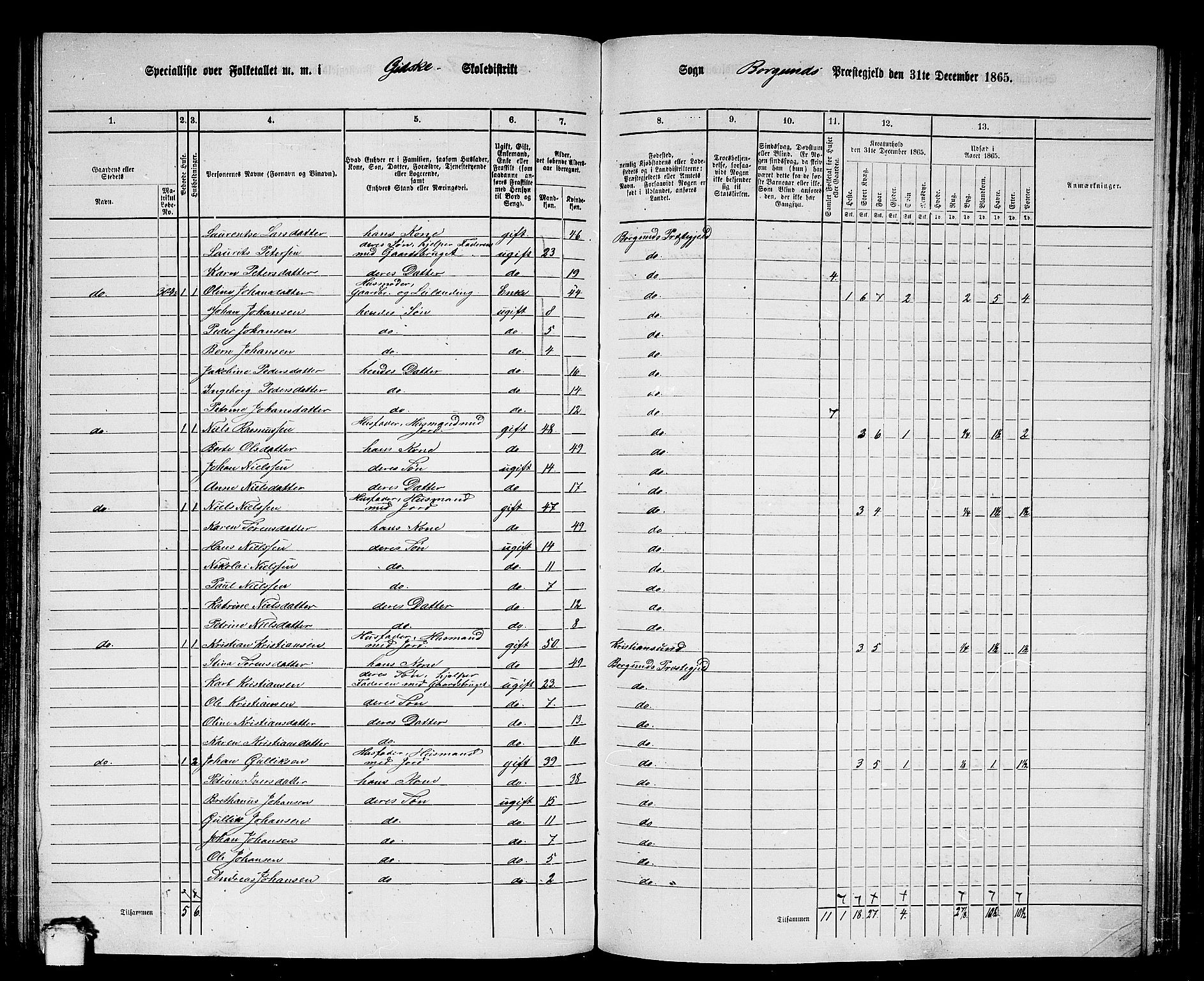 RA, 1865 census for Borgund, 1865, p. 132