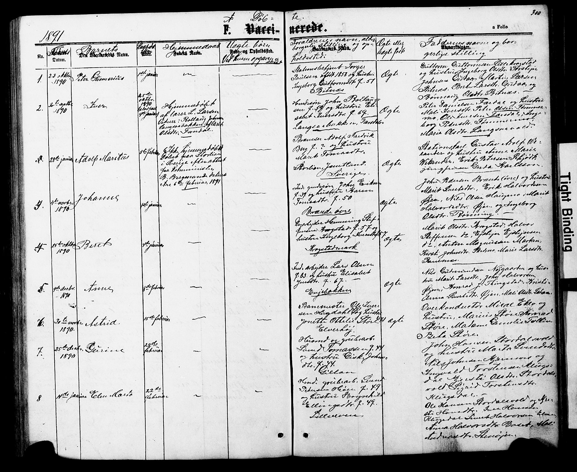 Ministerialprotokoller, klokkerbøker og fødselsregistre - Nord-Trøndelag, SAT/A-1458/706/L0049: Parish register (copy) no. 706C01, 1864-1895, p. 300