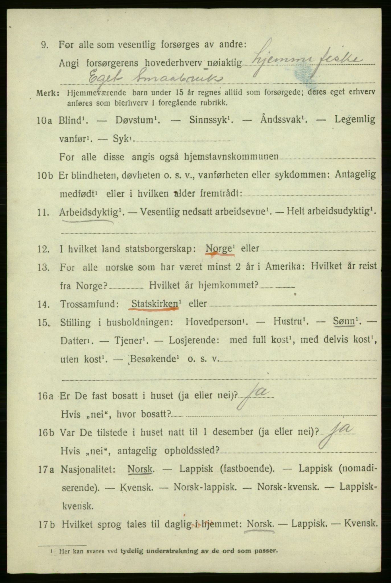 SATØ, 1920 census for Lebesby, 1920, p. 2996