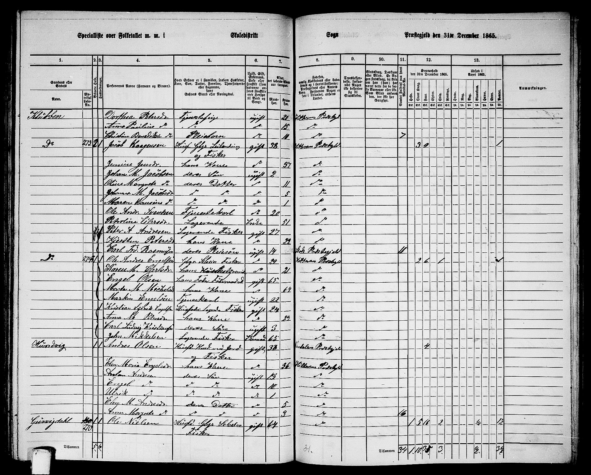 RA, 1865 census for Hitra, 1865, p. 231