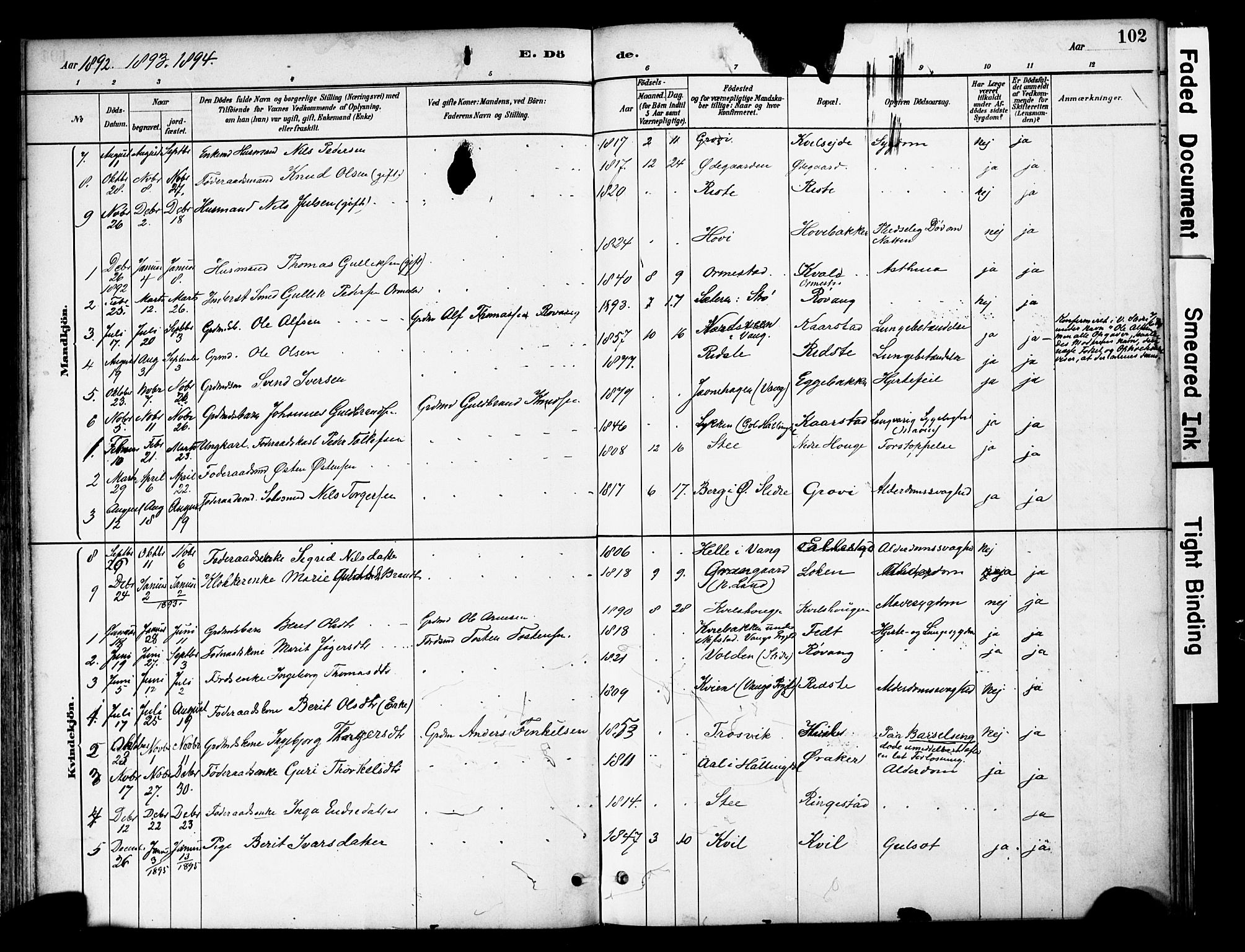 Vestre Slidre prestekontor, SAH/PREST-136/H/Ha/Haa/L0005: Parish register (official) no. 5, 1881-1912, p. 102