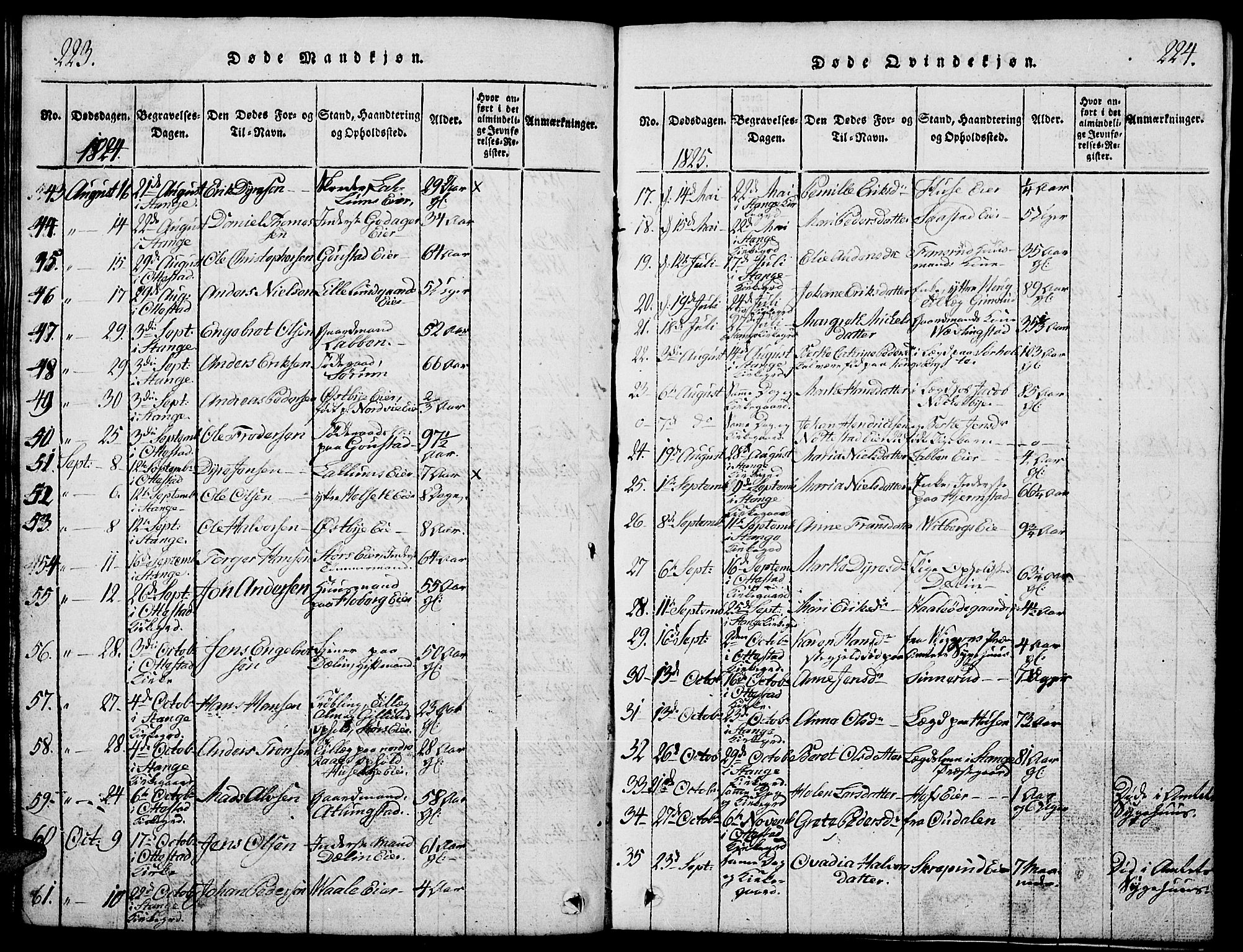 Stange prestekontor, SAH/PREST-002/L/L0001: Parish register (copy) no. 1, 1814-1825, p. 223-224