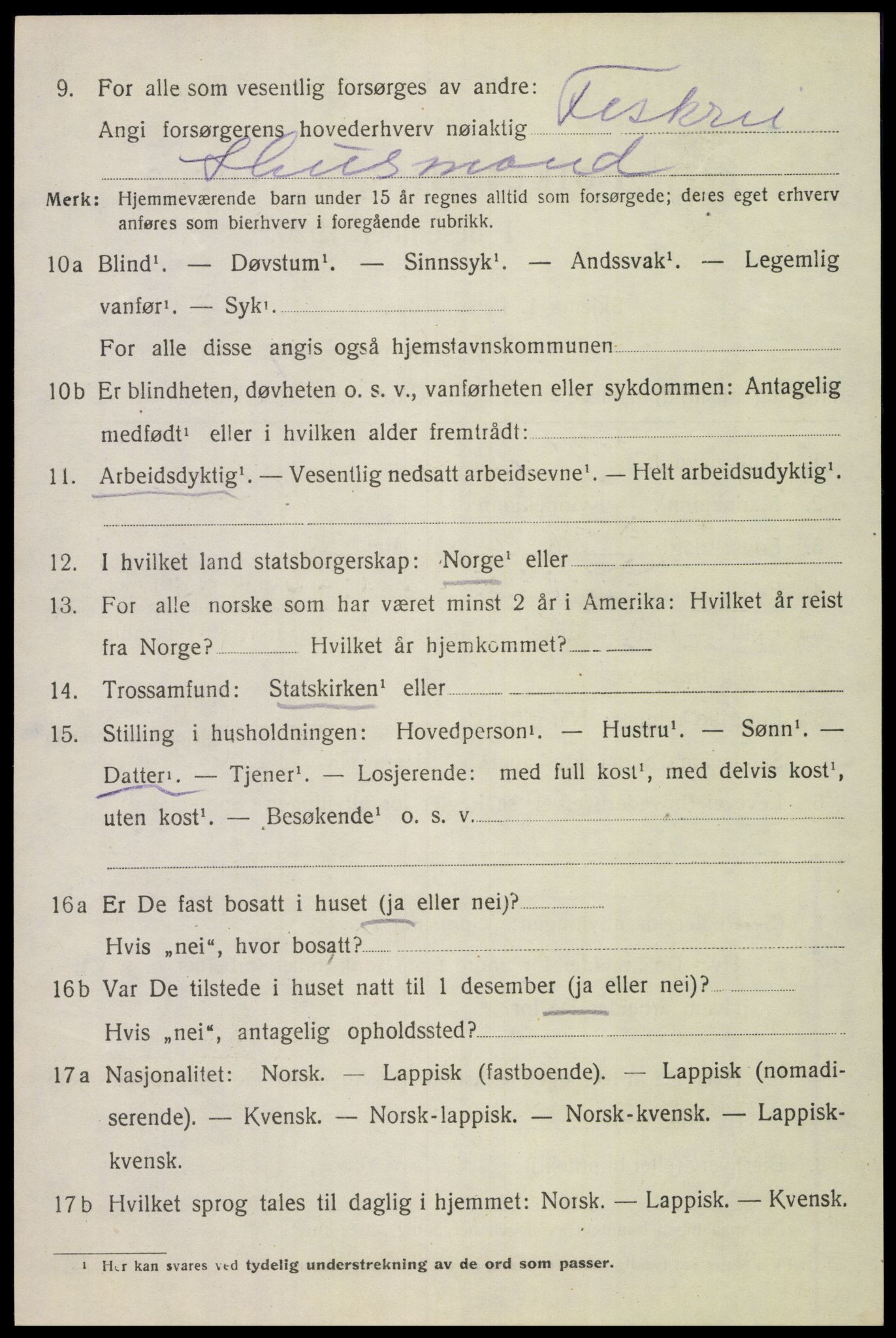 SAT, 1920 census for Bodin, 1920, p. 10047