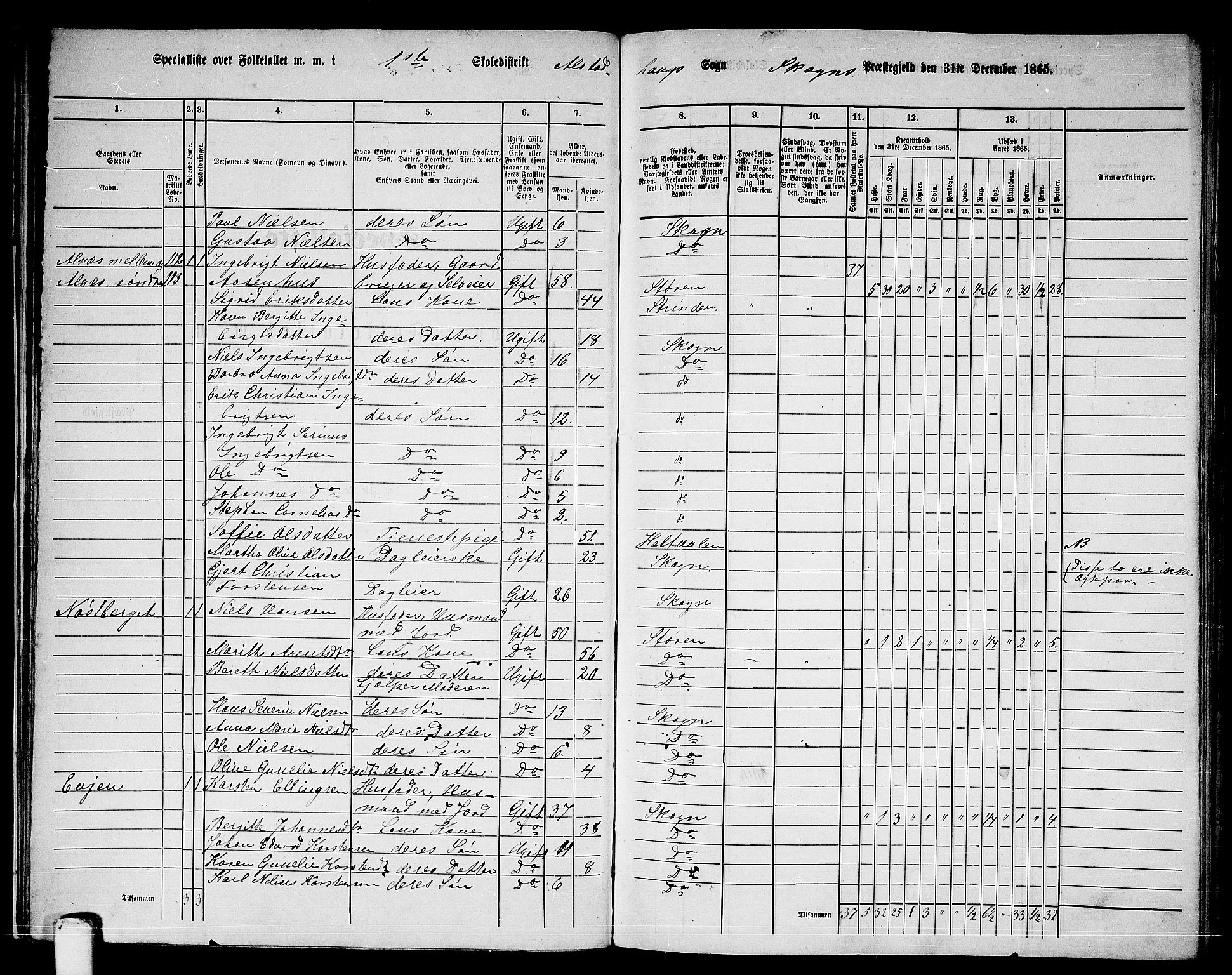 RA, 1865 census for Skogn, 1865, p. 29