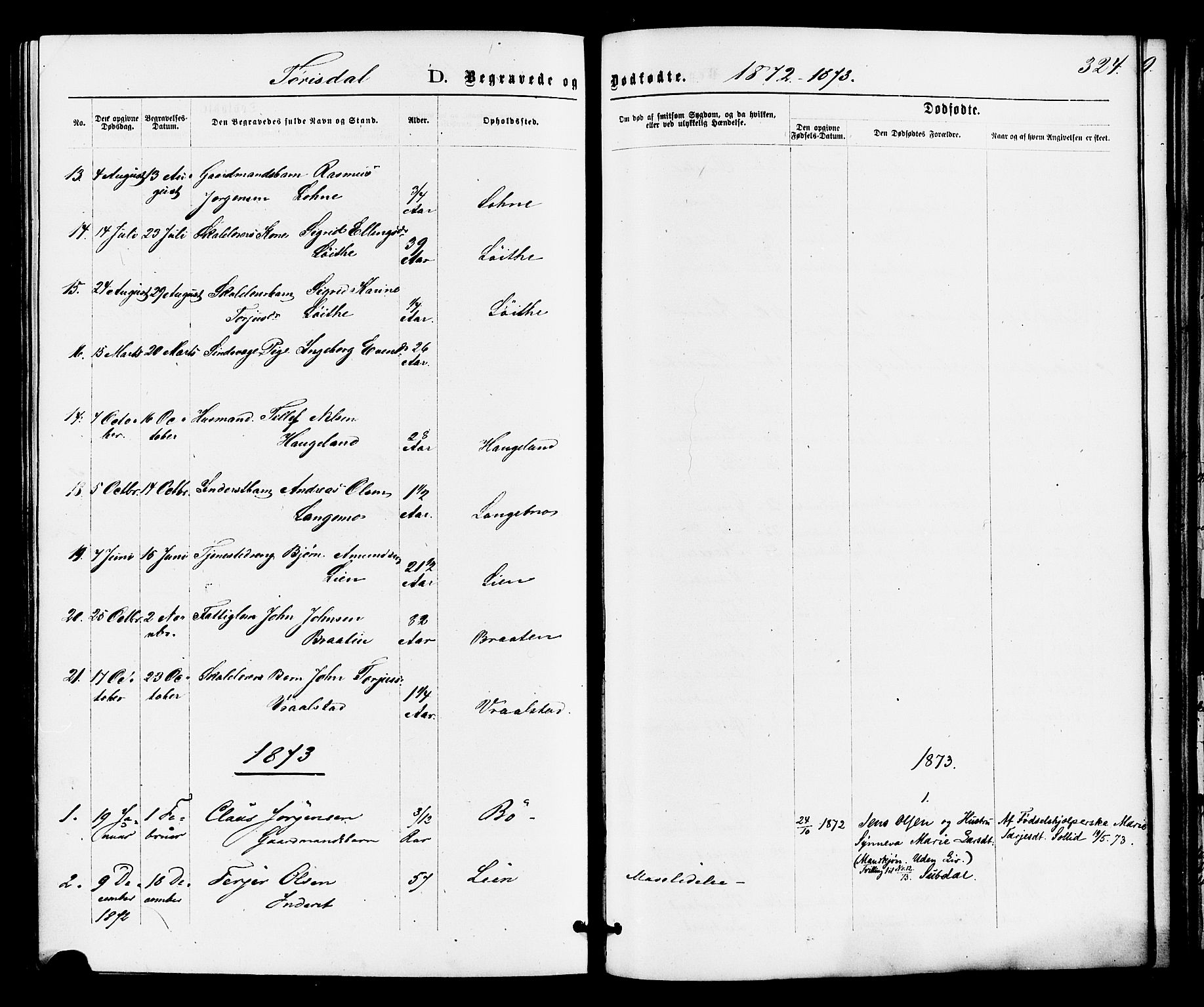 Drangedal kirkebøker, SAKO/A-258/F/Fa/L0009: Parish register (official) no. 9 /2, 1872-1884, p. 324
