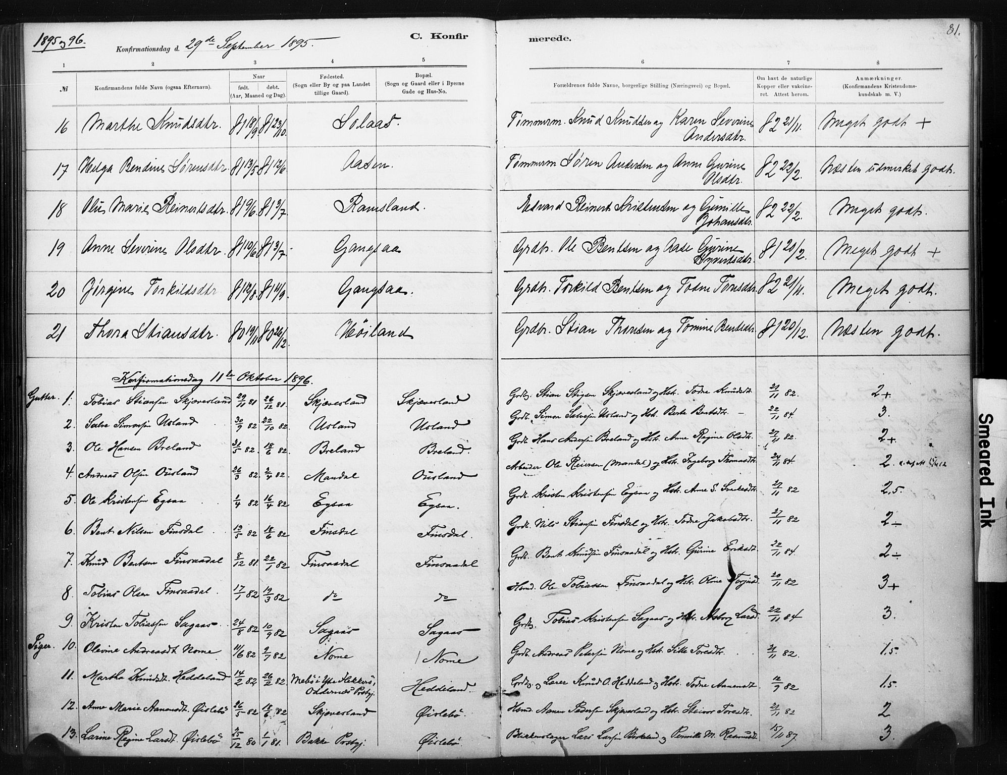 Holum sokneprestkontor, AV/SAK-1111-0022/F/Fa/Fac/L0004: Parish register (official) no. A 4, 1884-1907, p. 81