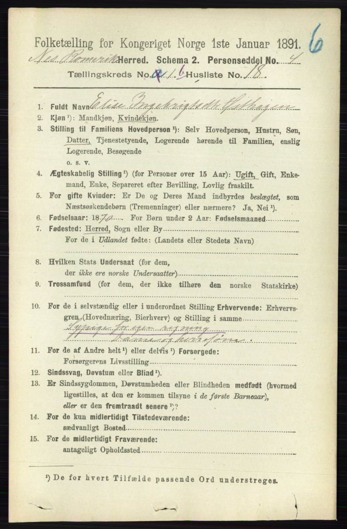 RA, 1891 census for 0236 Nes, 1891, p. 823