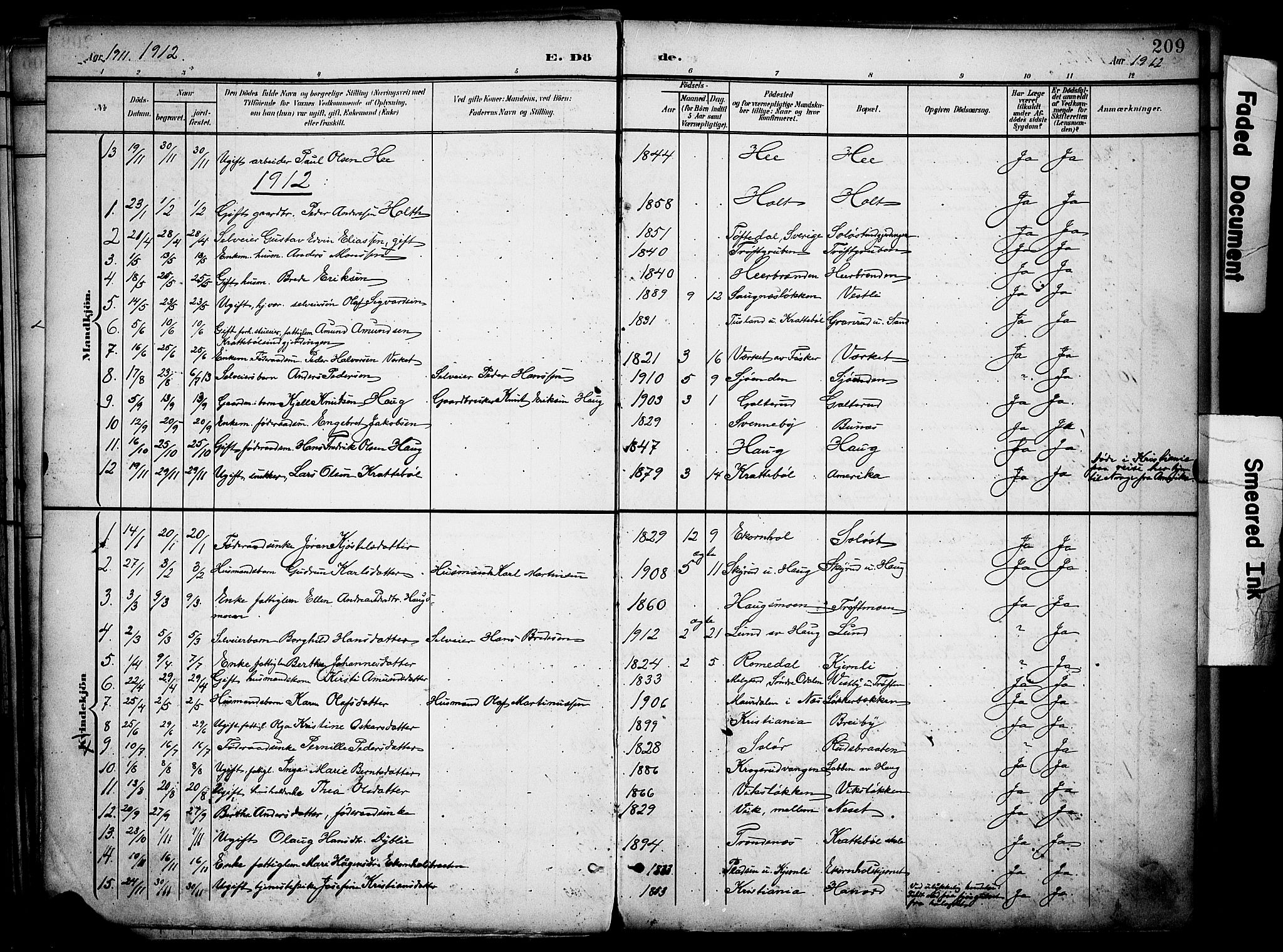 Nord-Odal prestekontor, SAH/PREST-032/H/Ha/Haa/L0007: Parish register (official) no. 7, 1902-1926, p. 209