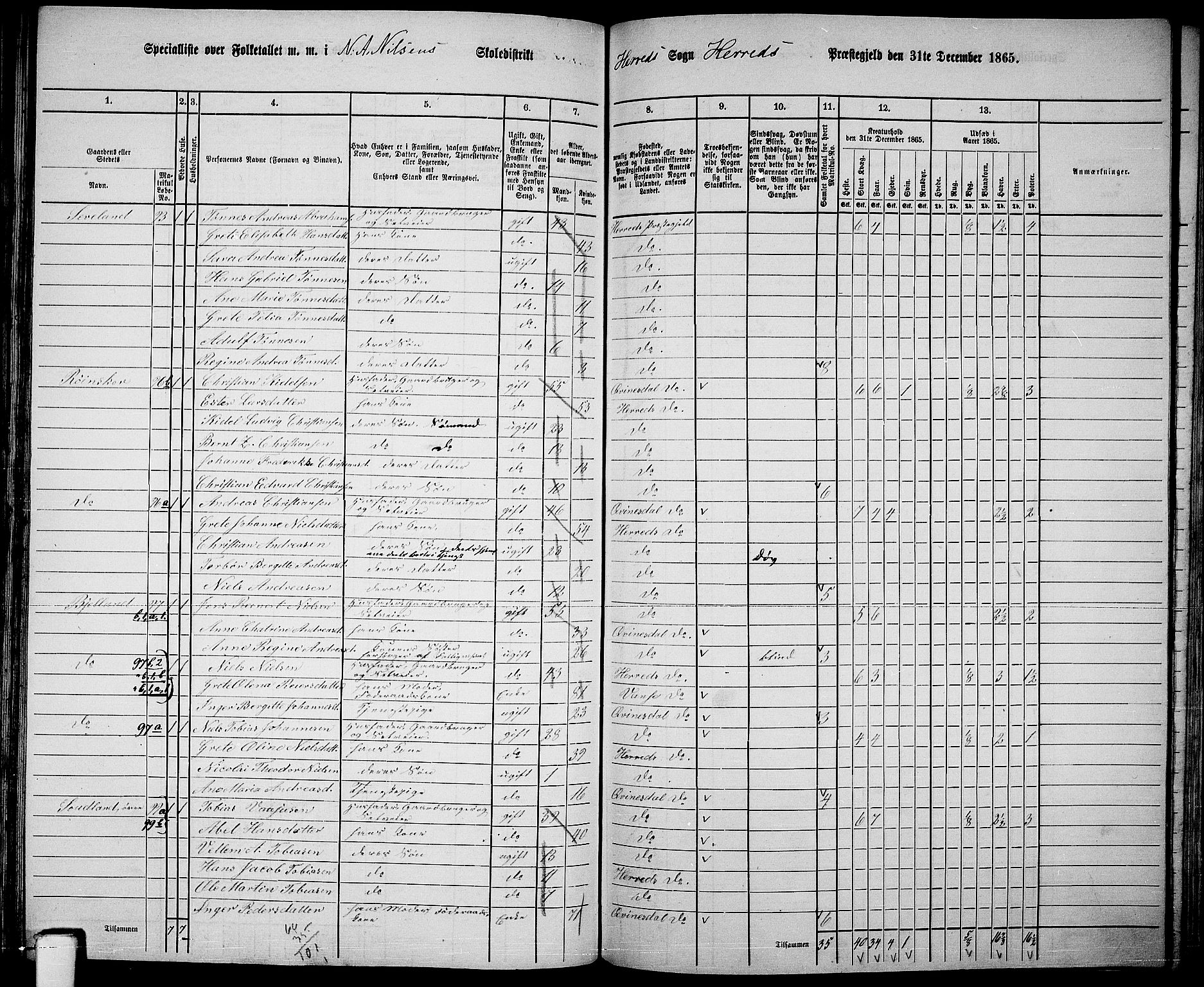 RA, 1865 census for Herad, 1865, p. 37