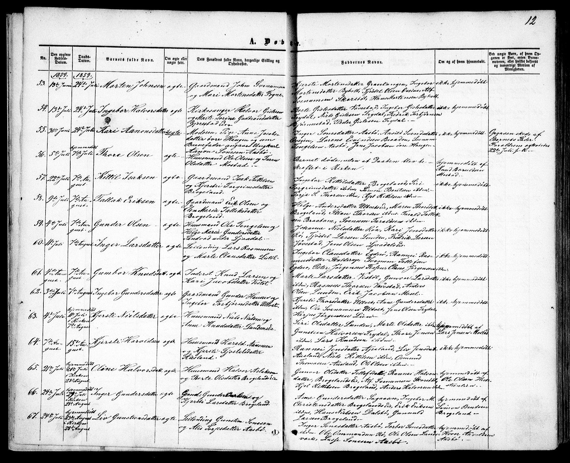 Gjerstad sokneprestkontor, AV/SAK-1111-0014/F/Fa/Faa/L0007: Parish register (official) no. A 7, 1858-1875, p. 12