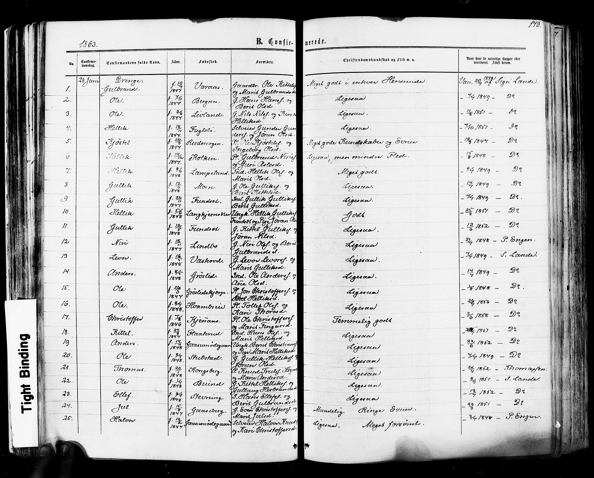 Flesberg kirkebøker, SAKO/A-18/F/Fa/L0007: Parish register (official) no. I 7, 1861-1878, p. 173