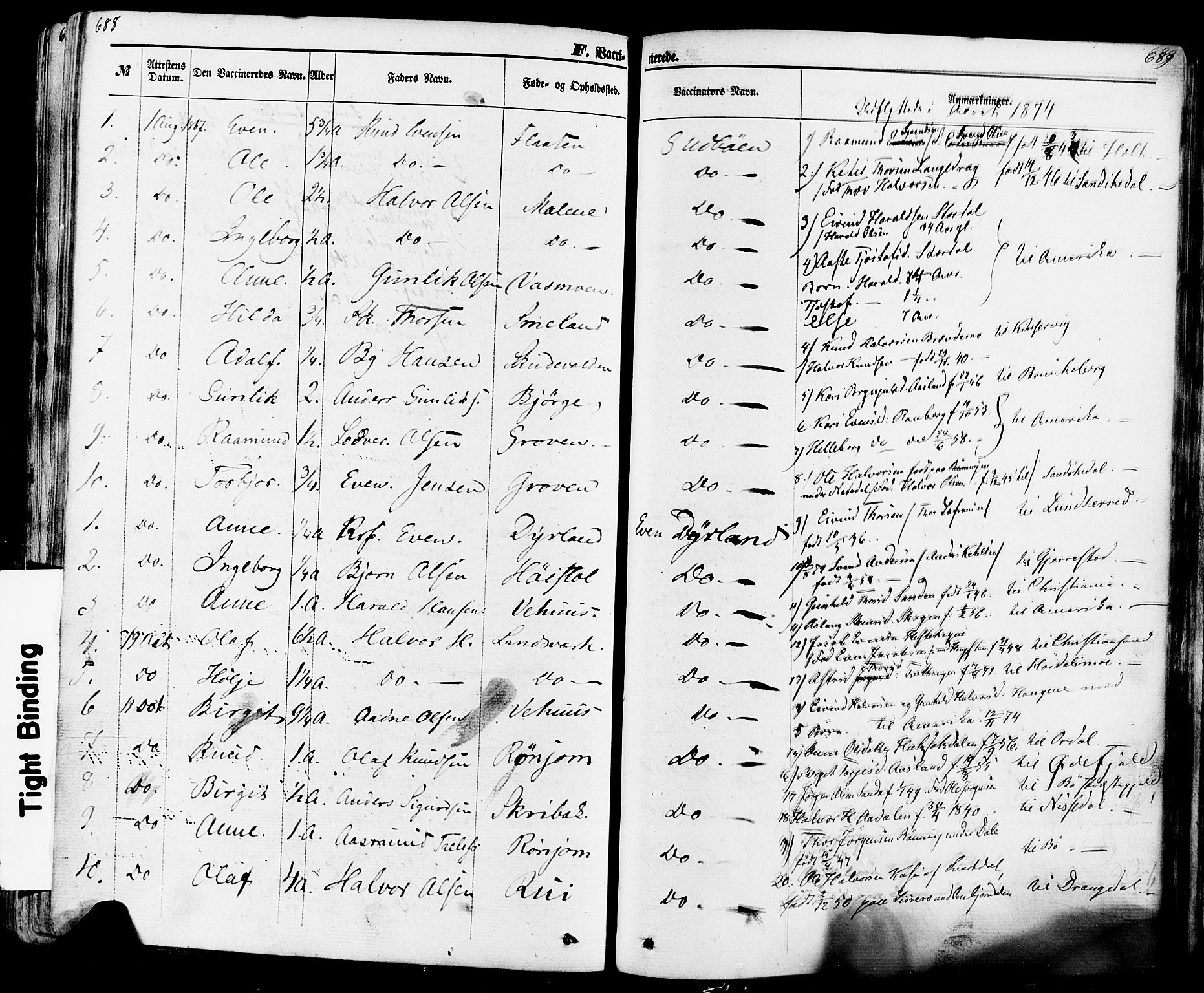 Seljord kirkebøker, AV/SAKO-A-20/F/Fa/L0013: Parish register (official) no. I 13, 1866-1876, p. 688-689