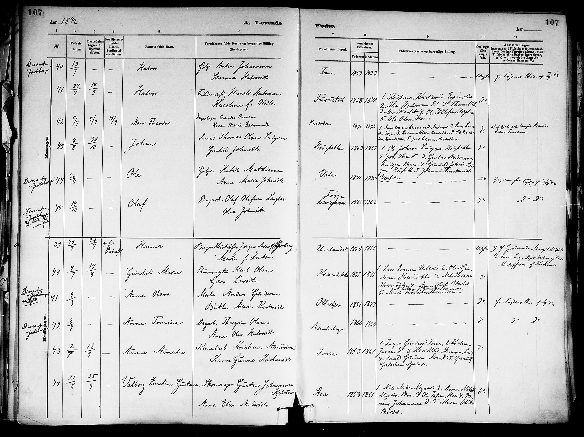 Holla kirkebøker, SAKO/A-272/F/Fa/L0008: Parish register (official) no. 8, 1882-1897, p. 107