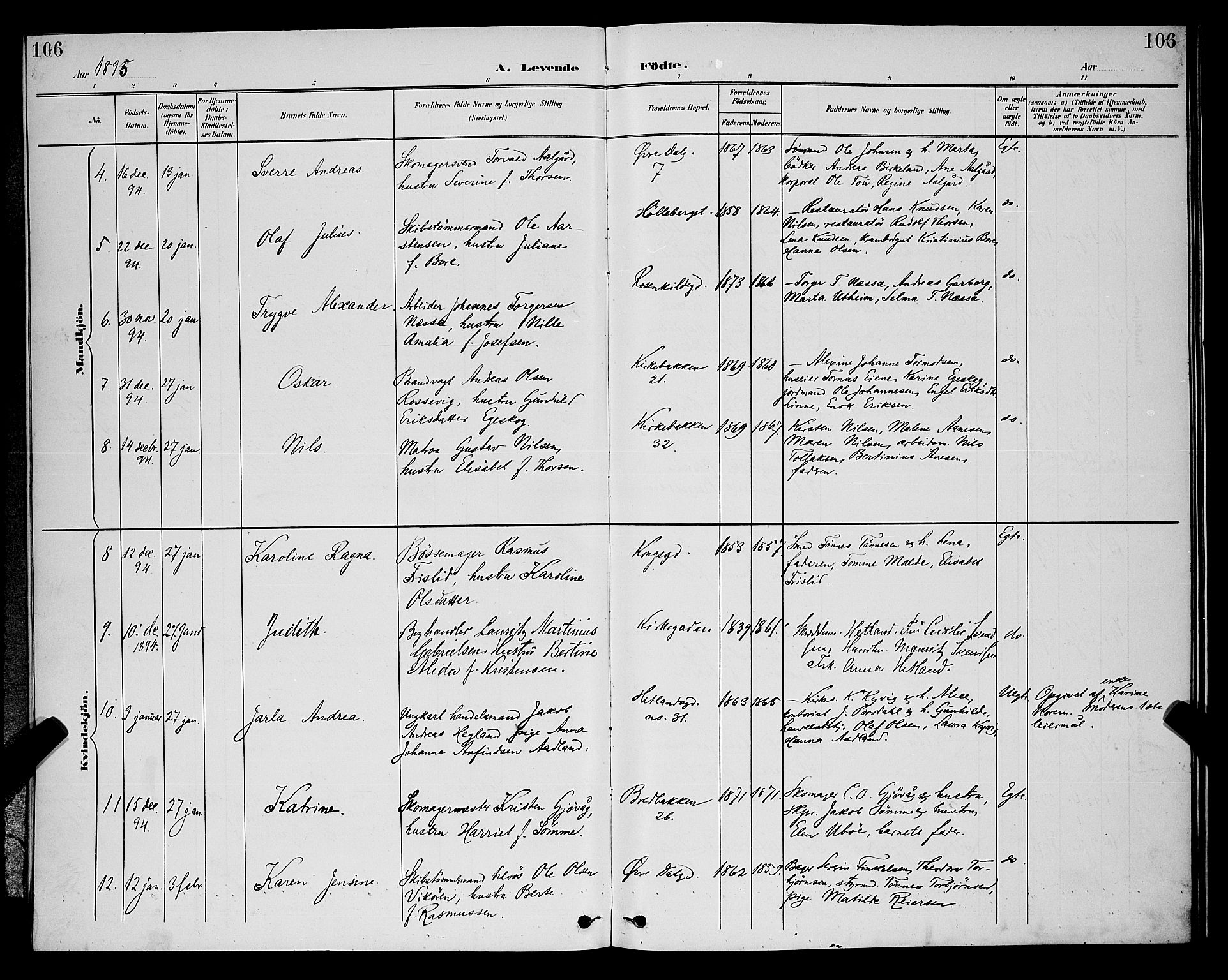 St. Petri sokneprestkontor, SAST/A-101813/001/30/30BB/L0006: Parish register (copy) no. B 6, 1890-1897, p. 106