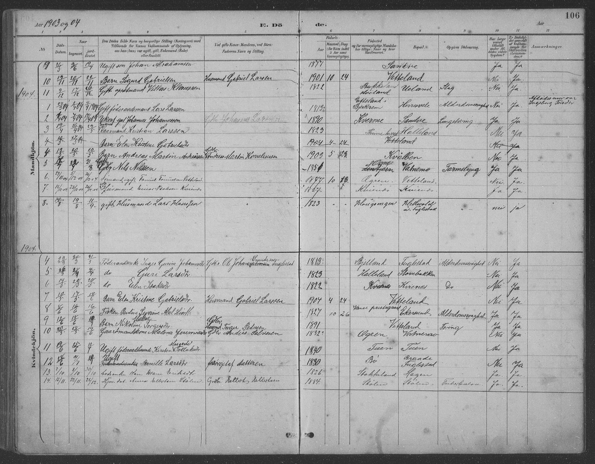 Eigersund sokneprestkontor, AV/SAST-A-101807/S09: Parish register (copy) no. B 21, 1890-1915, p. 106