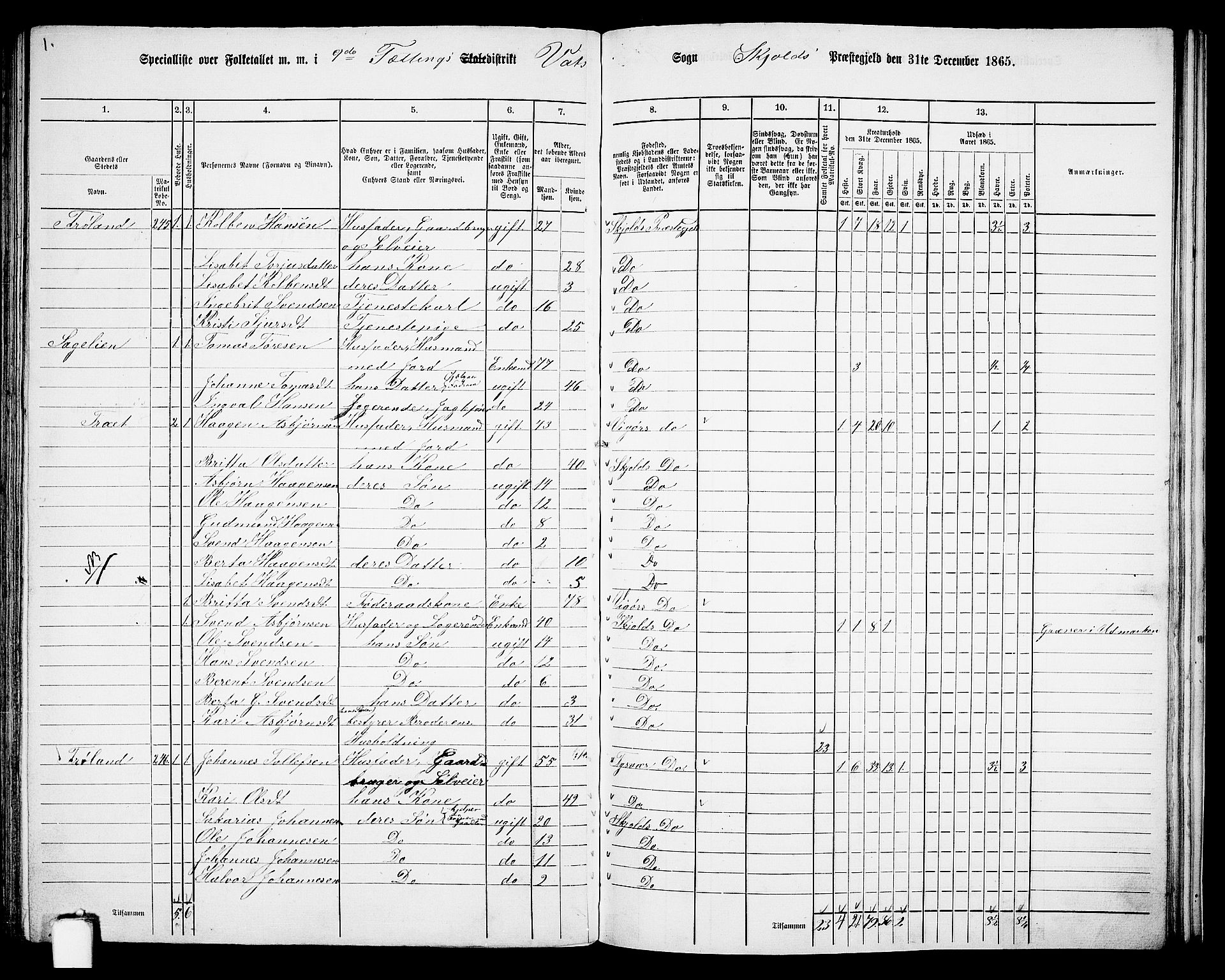 RA, 1865 census for Skjold, 1865, p. 125