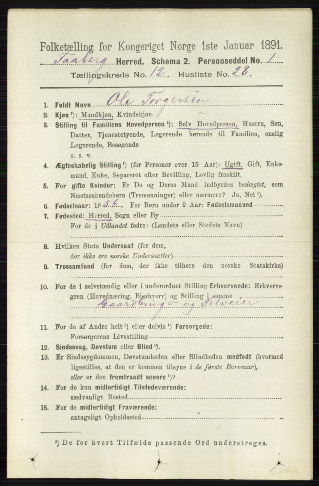 RA, 1891 census for 0524 Fåberg, 1891, p. 4910