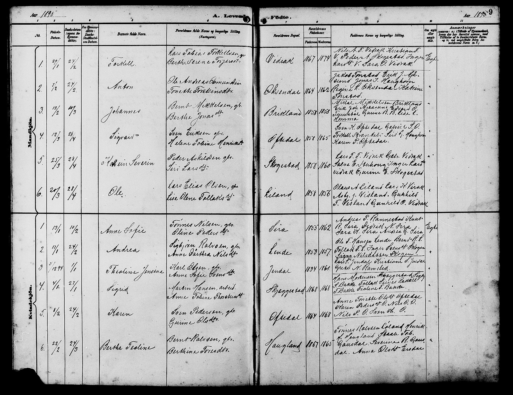 Bakke sokneprestkontor, SAK/1111-0002/F/Fb/Fba/L0003: Parish register (copy) no. B 3, 1894-1910, p. 9