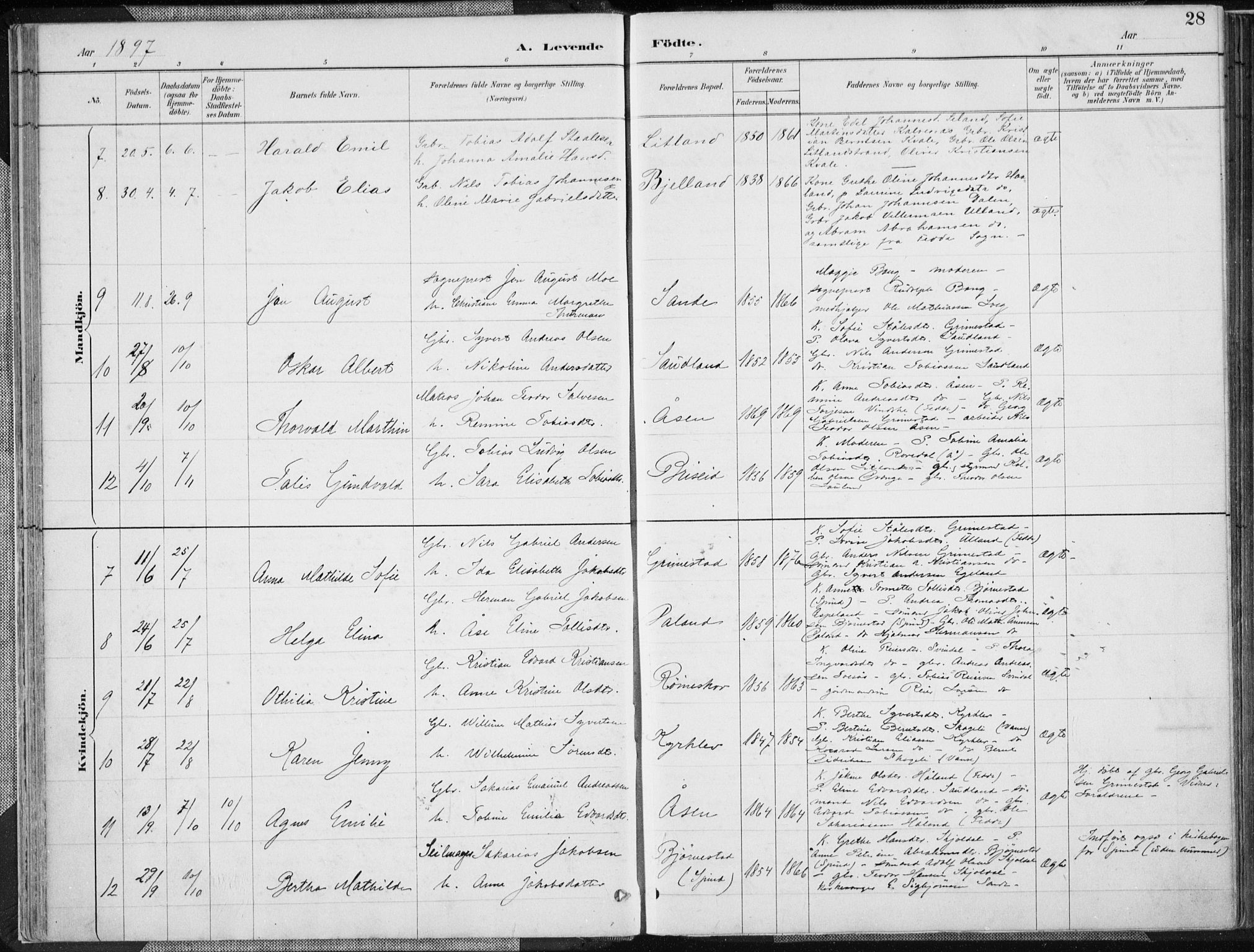 Herad sokneprestkontor, AV/SAK-1111-0018/F/Fa/Faa/L0006: Parish register (official) no. A 6, 1887-1907, p. 28