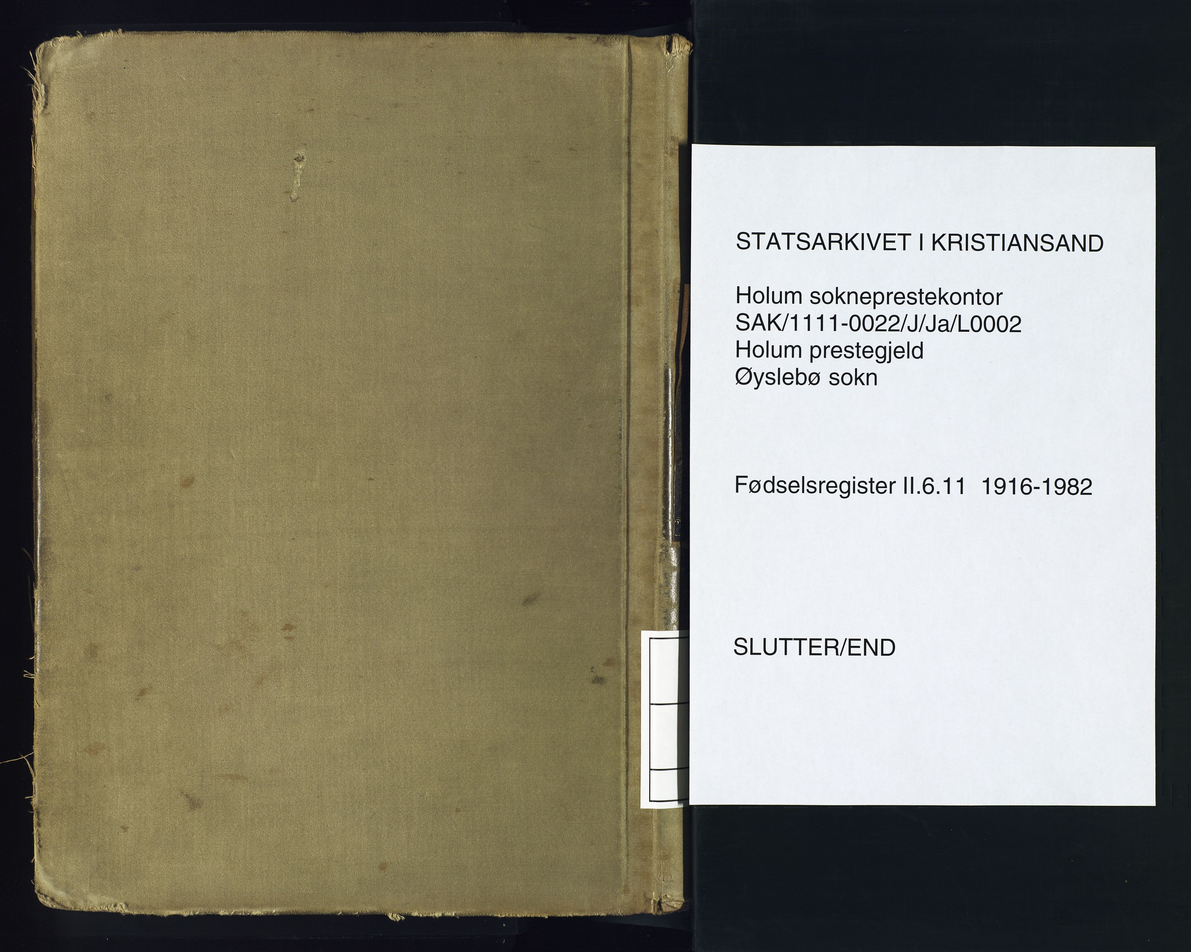 Holum sokneprestkontor, AV/SAK-1111-0022/J/Ja/L0002: Birth register no. II.6.11, 1916-1982