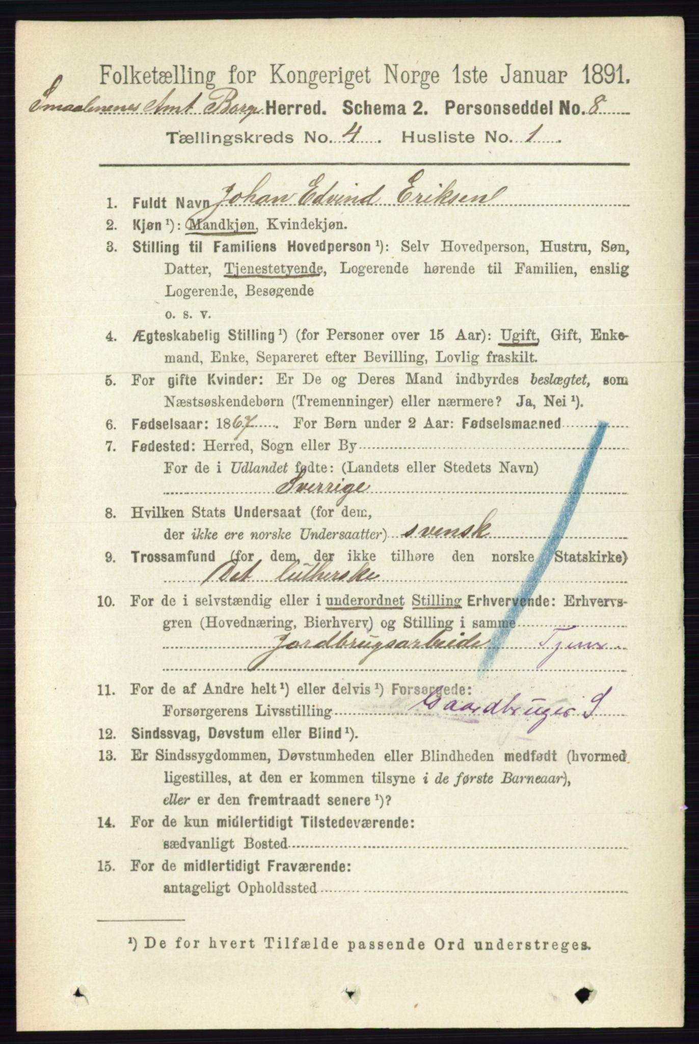 RA, 1891 census for 0113 Borge, 1891, p. 1663