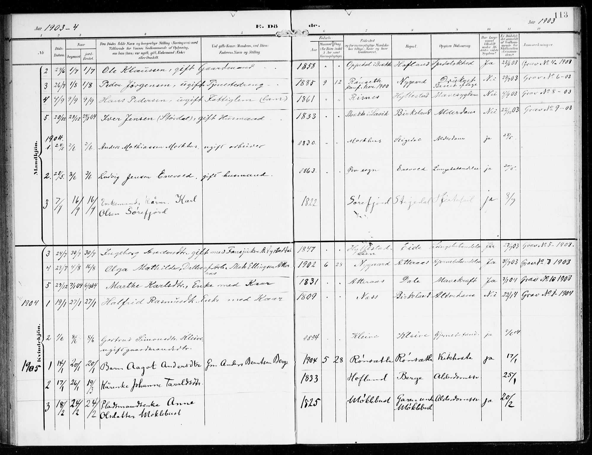 Hyllestad sokneprestembete, SAB/A-80401: Parish register (official) no. B 2, 1903-1917, p. 113