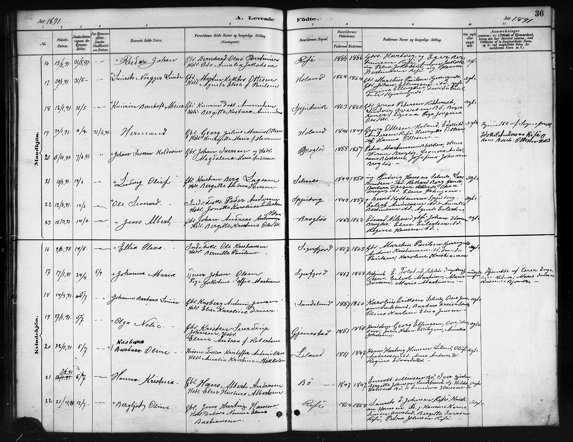 Ministerialprotokoller, klokkerbøker og fødselsregistre - Nordland, AV/SAT-A-1459/895/L1382: Parish register (copy) no. 895C04, 1885-1896, p. 36