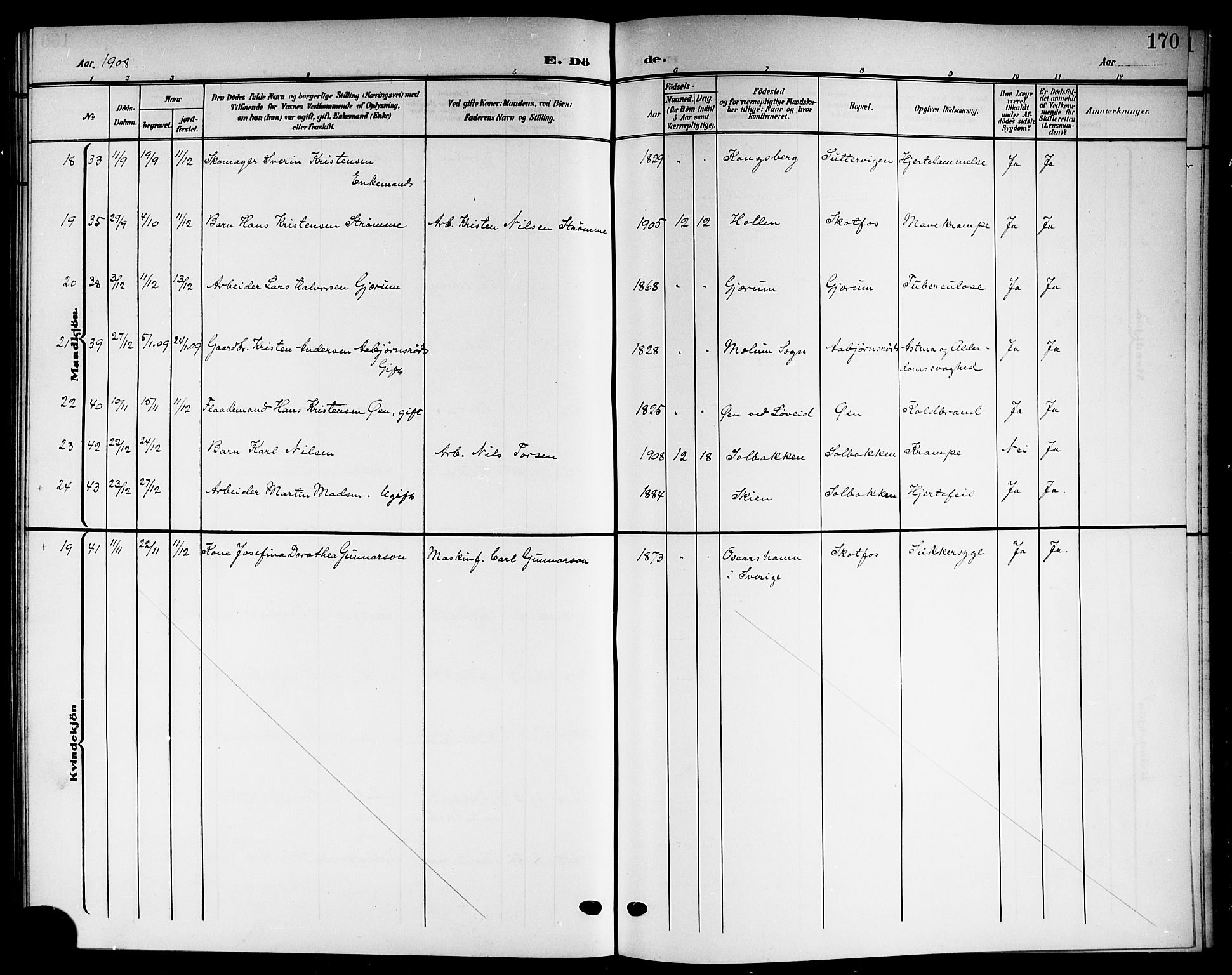 Solum kirkebøker, SAKO/A-306/G/Gb/L0005: Parish register (copy) no. II 5, 1905-1914, p. 170