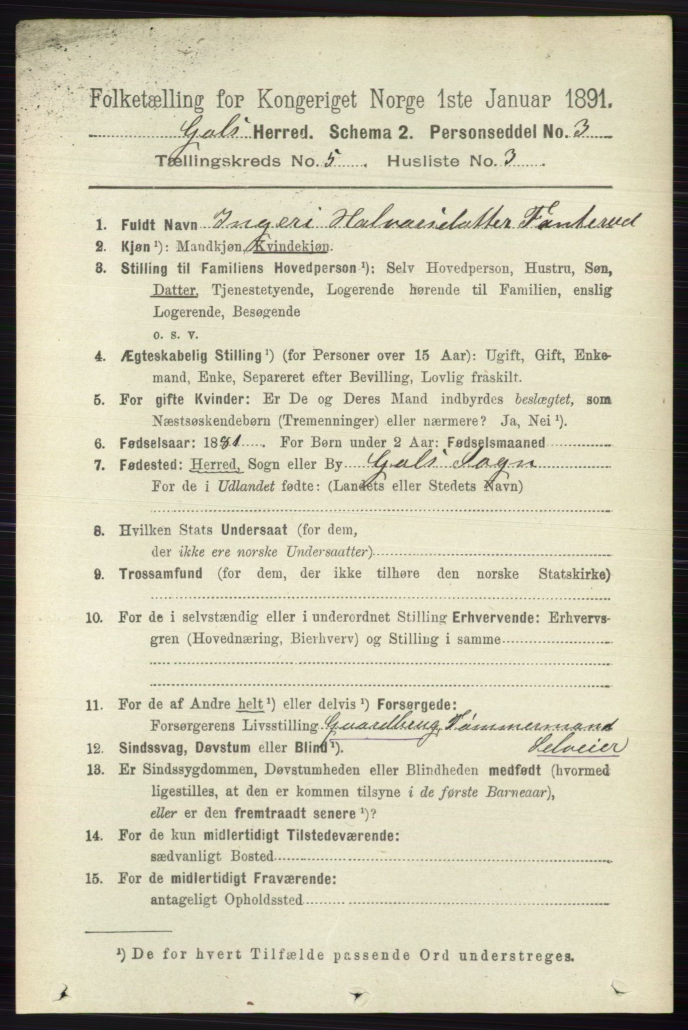 RA, 1891 census for 0617 Gol og Hemsedal, 1891, p. 2319