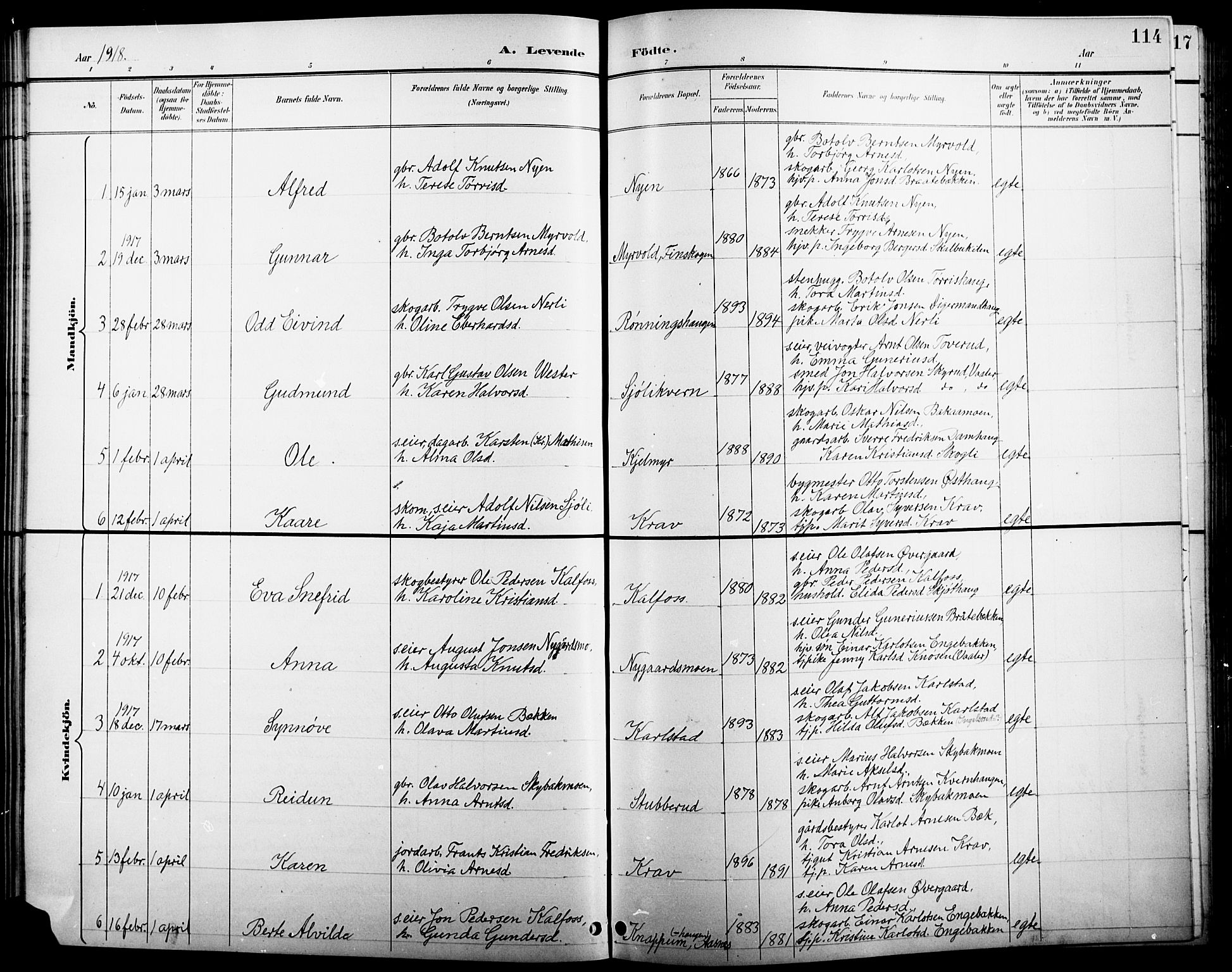 Åsnes prestekontor, AV/SAH-PREST-042/H/Ha/Hab/L0005: Parish register (copy) no. 5, 1895-1920, p. 114